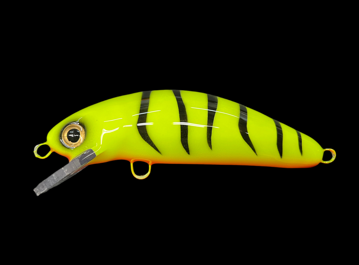 Chartreuse Tiger - Orange Belly - 6SC