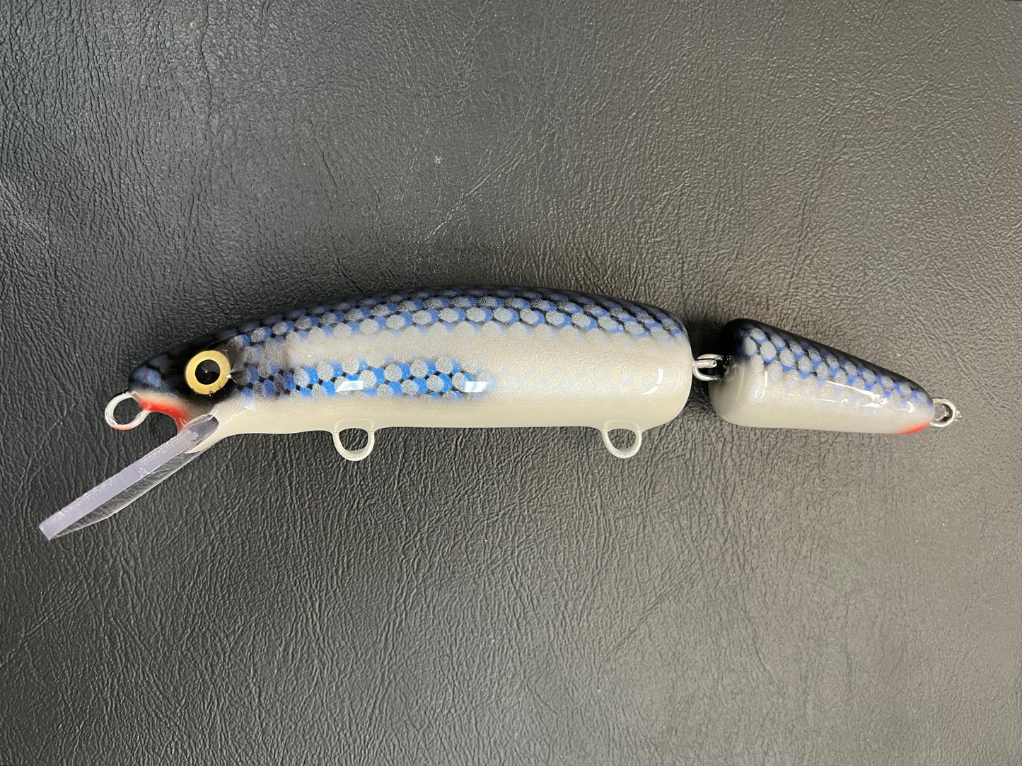 Mooneye - Pearl Belly - 9JC