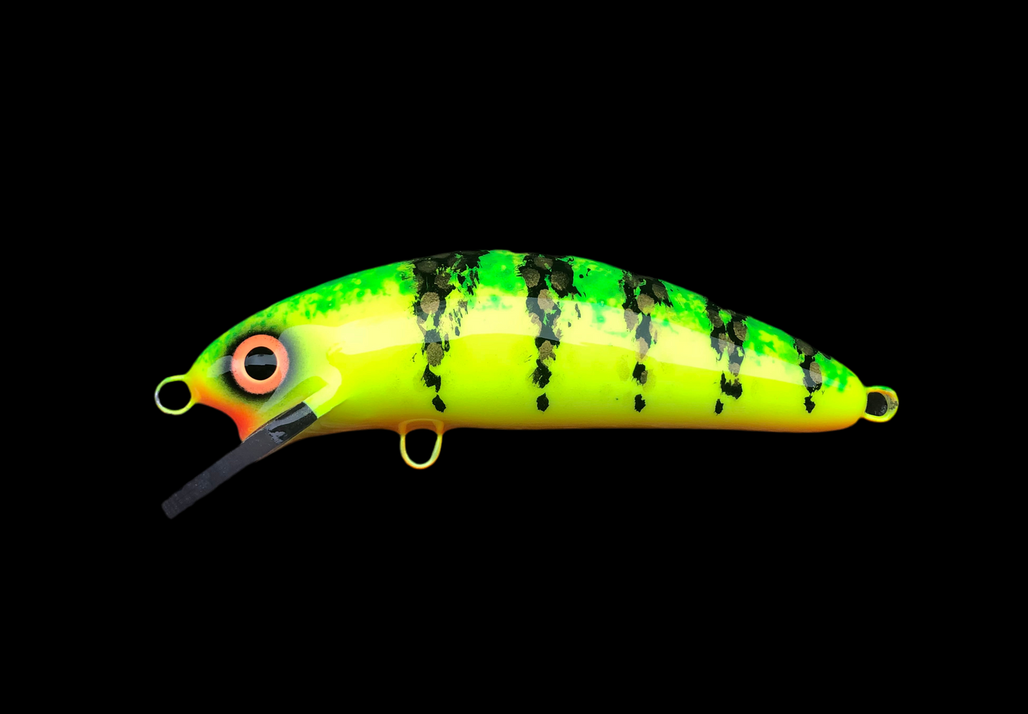 Wish Perch - Orange Belly - 6SC