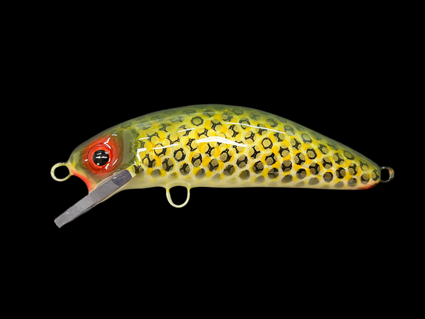 St. Lawrence - Cream Belly - 6SC