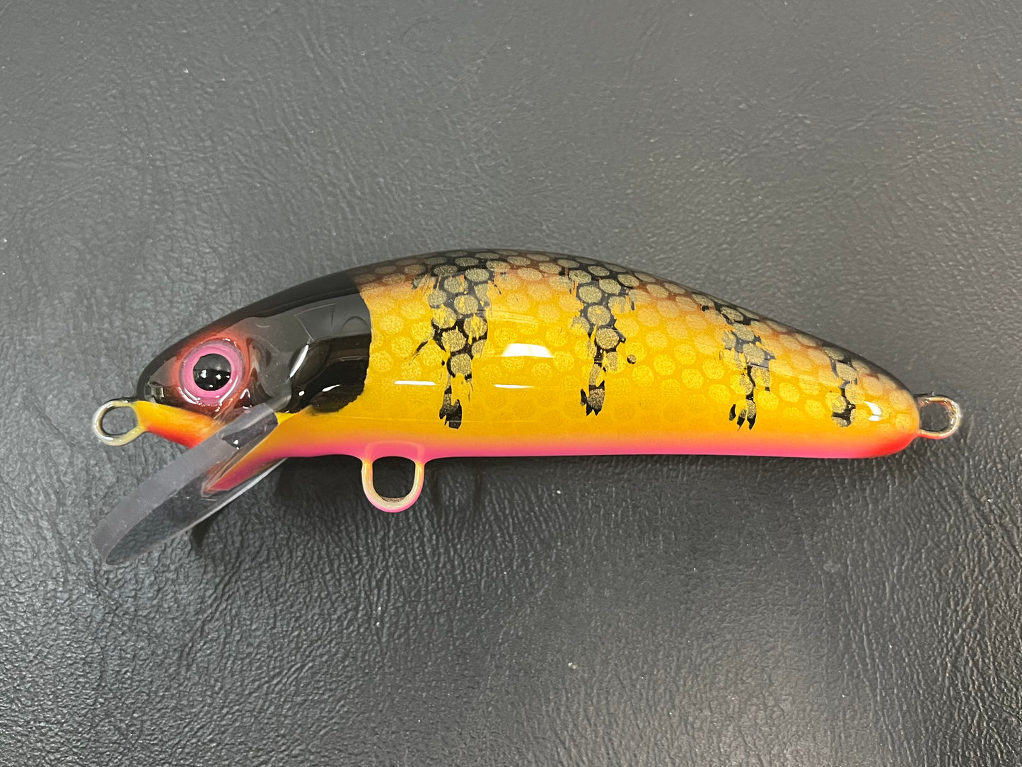 Brown Perch - Pink Belly - 6SC