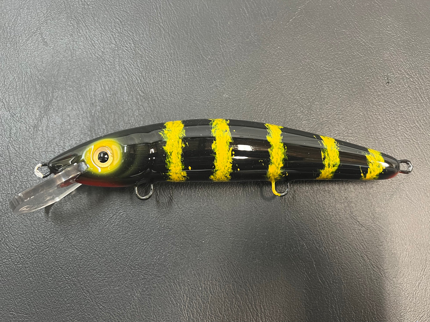 Reverse JBird - Black Belly - 9CP