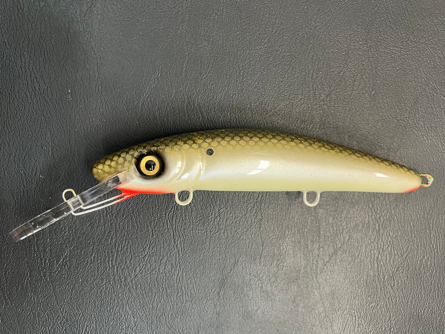 Tennessee Shad - White Belly - 9H