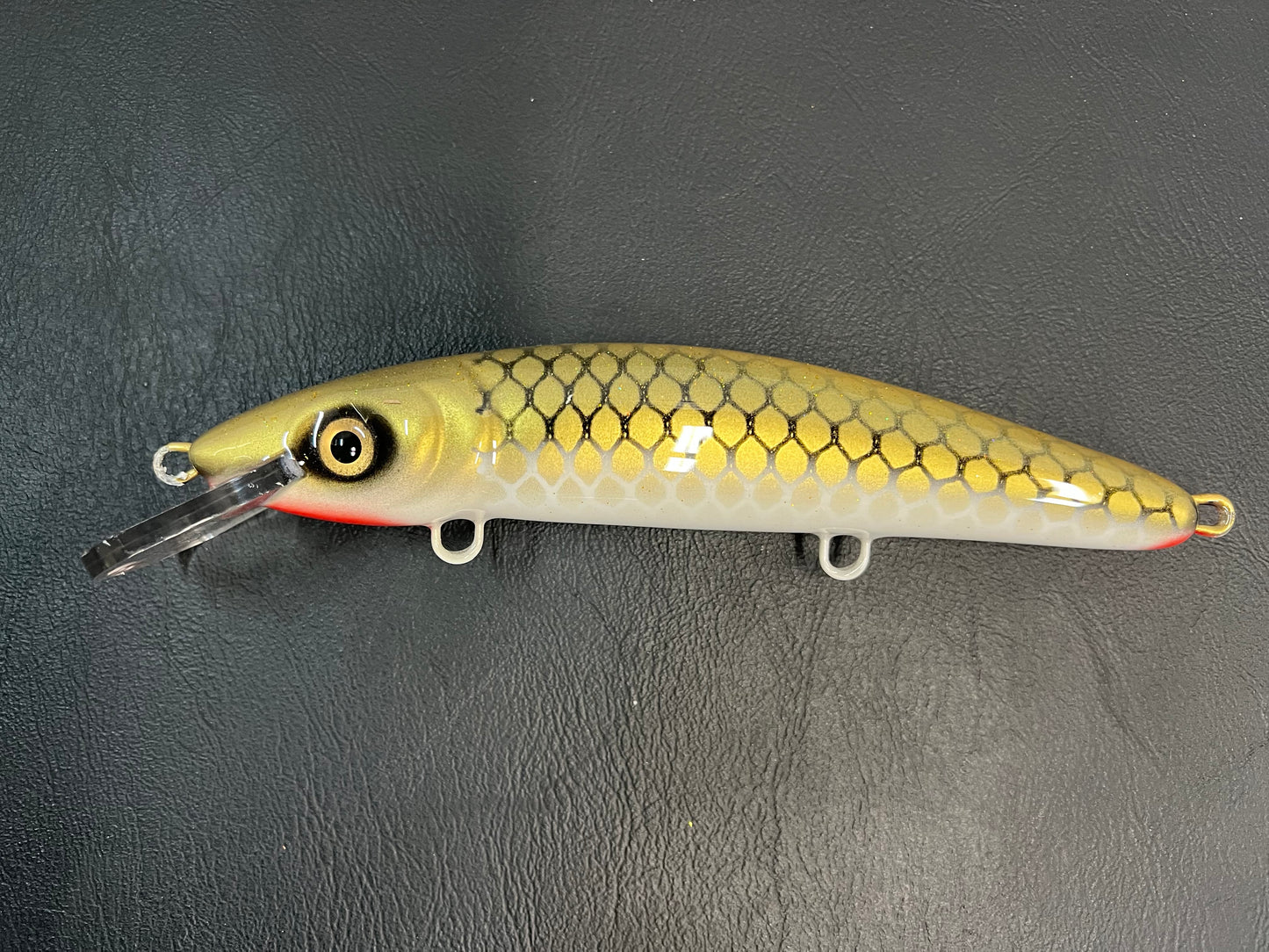 Gold Sucker - White Belly - 9CP