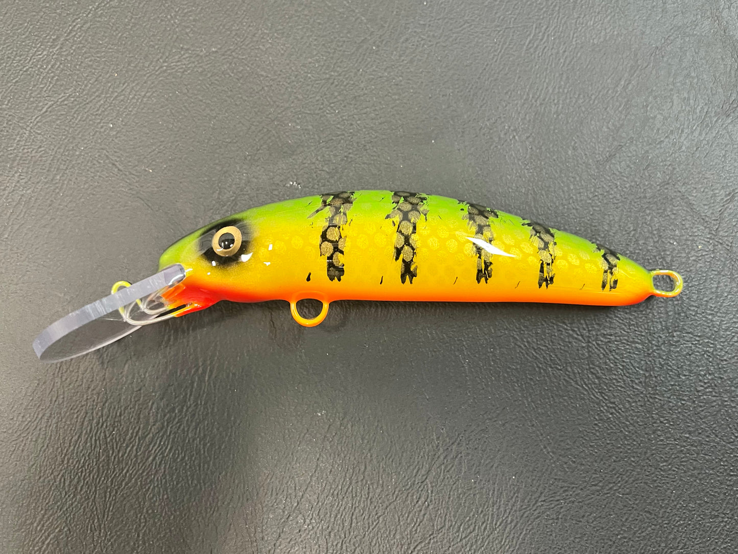 Chalky Perch - Orange Belly - 6H