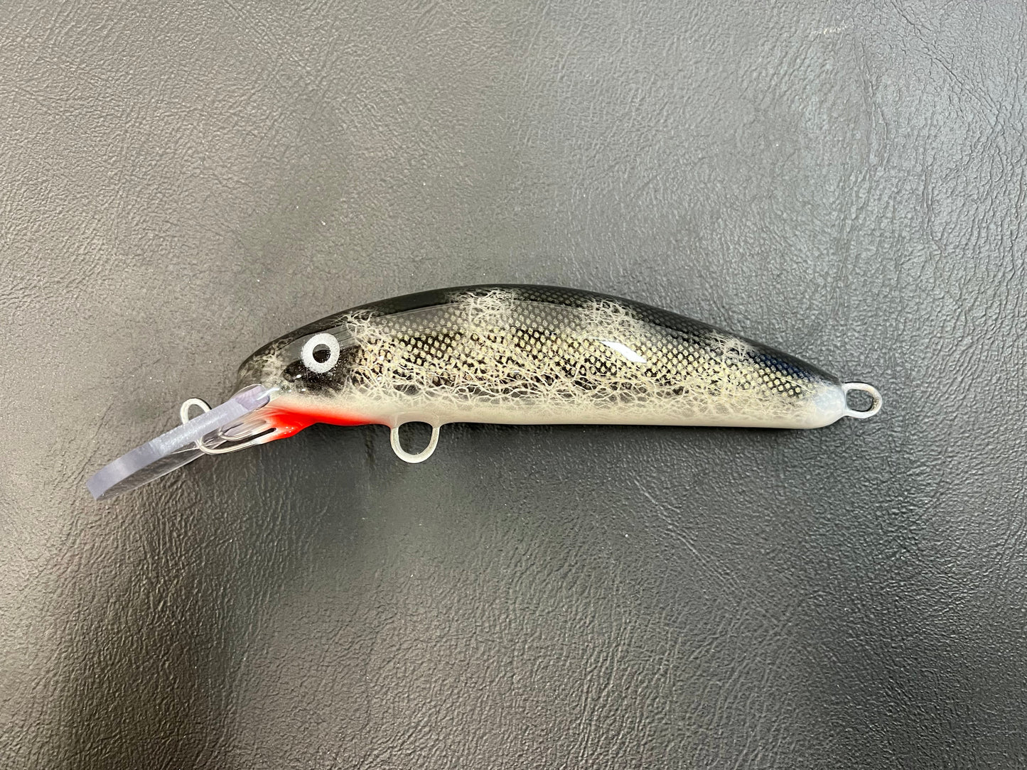Black Walleye - Bass Belly - 6H