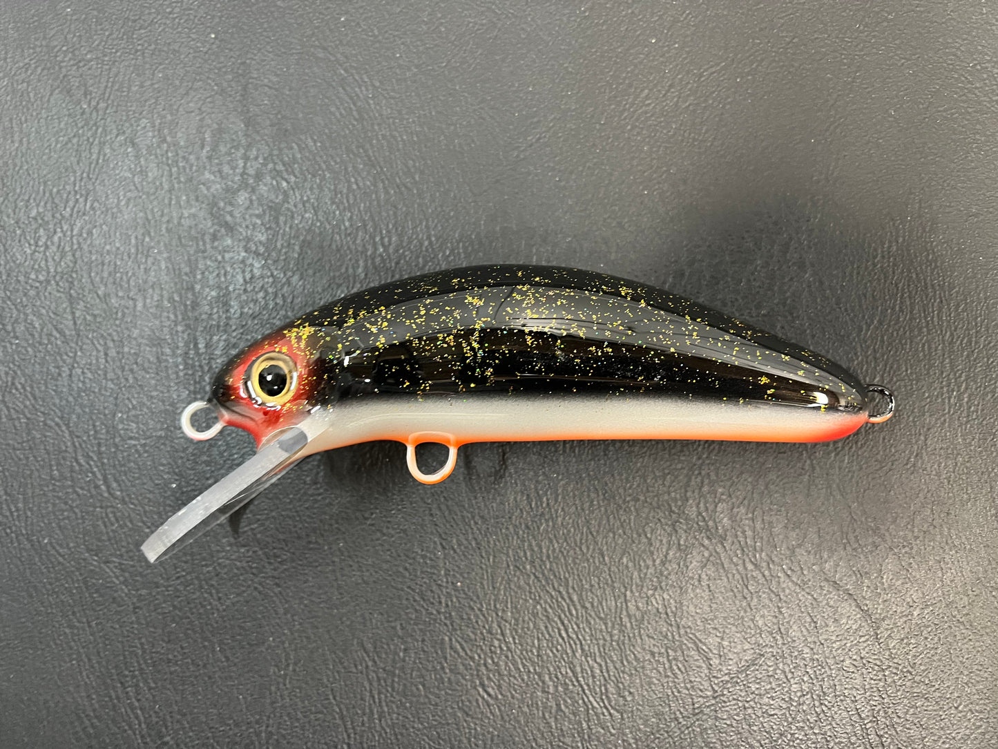 Night Shiner - Orange Belly - 6DSC
