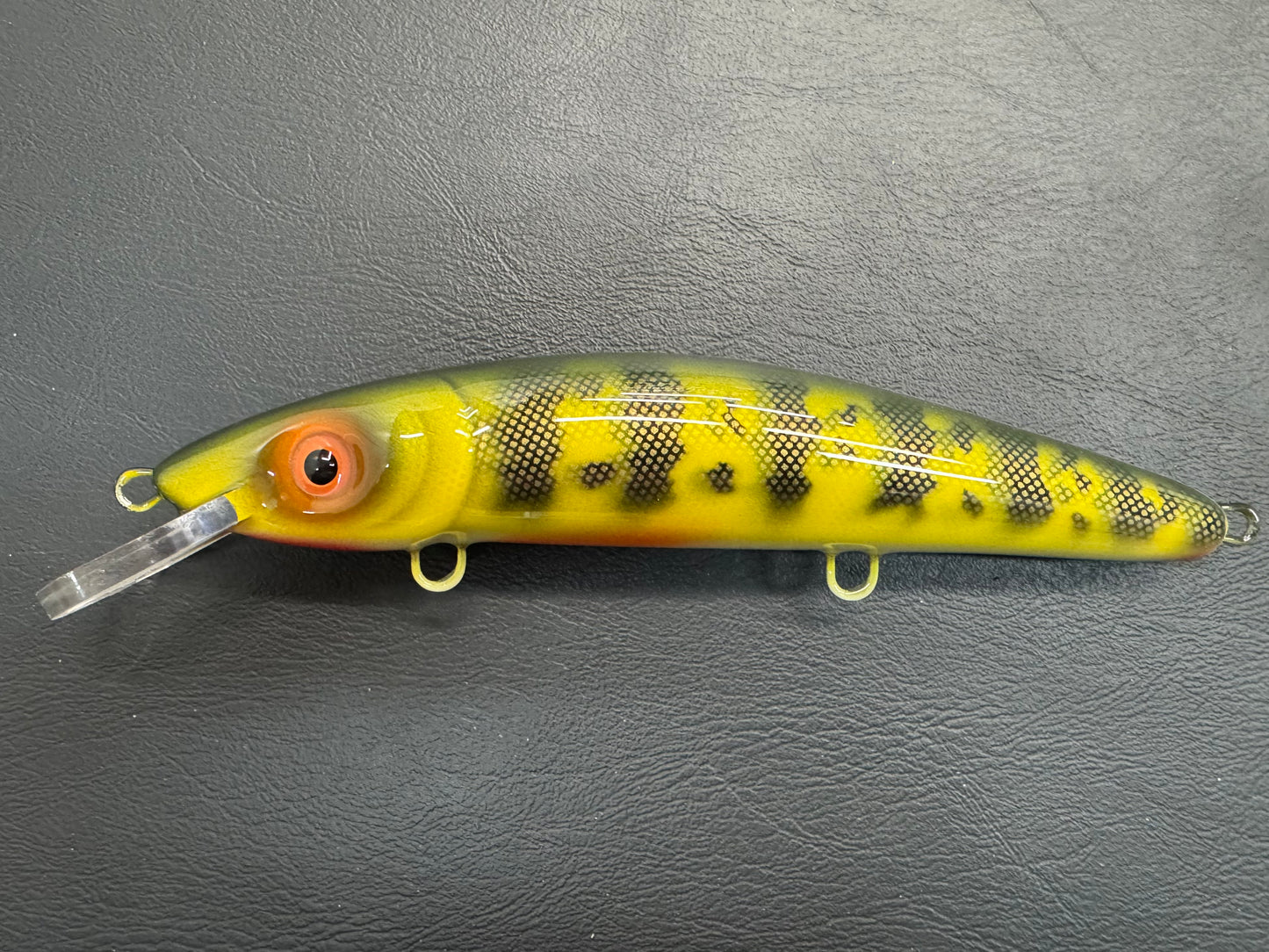 Natural Perch - White Belly - 9CP