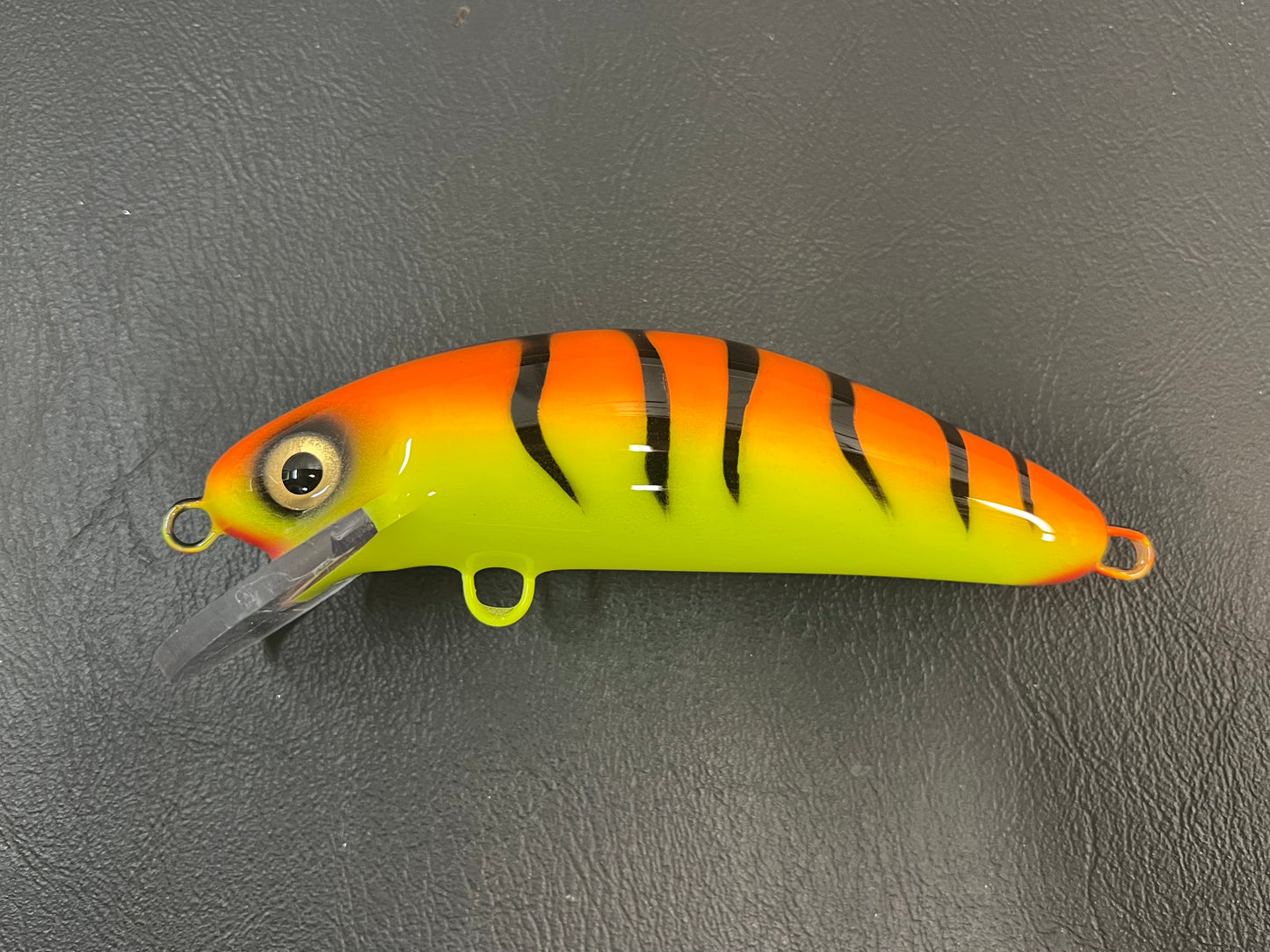Orange Tiger - Chartreuse Belly - 6SC