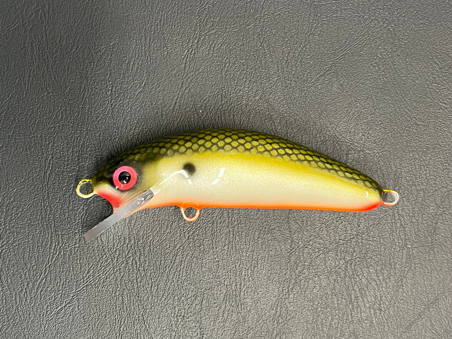 Tennessee Shad - Orange Belly - 6SC