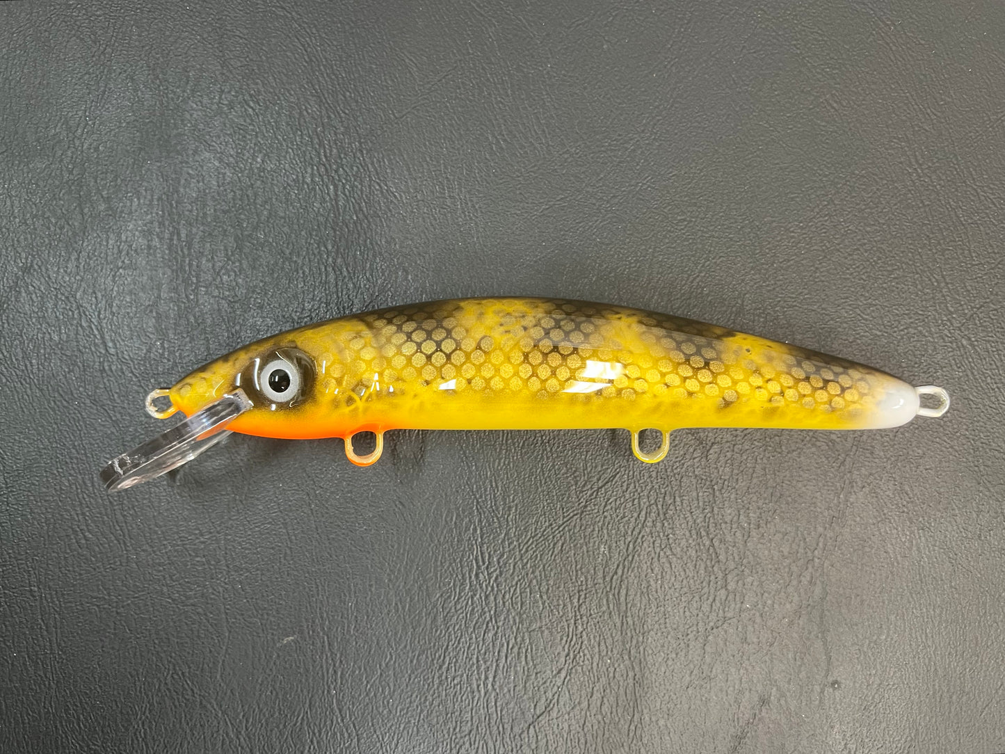Walleye - Yellow Belly - 9CP