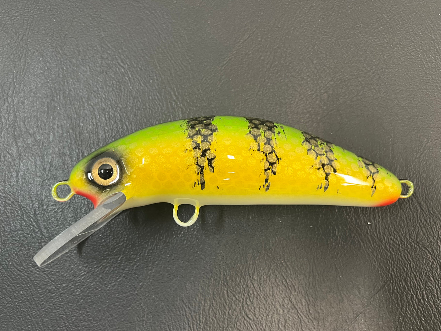 Chalky Perch - White Belly - 6DSC
