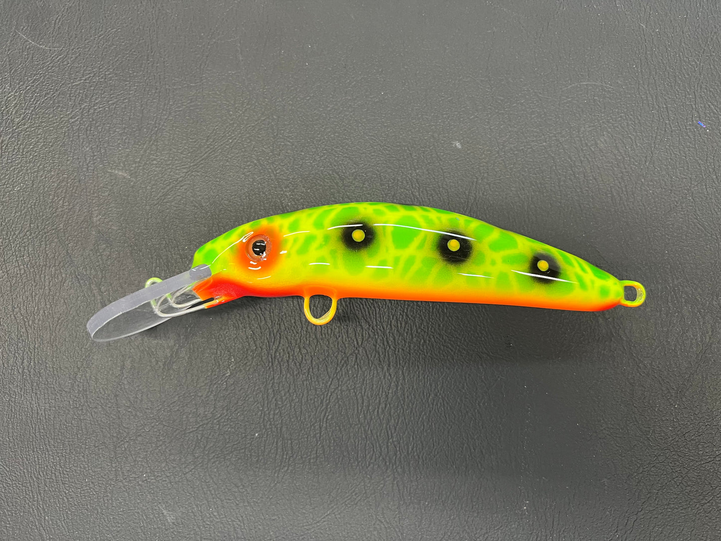 Acid Frog - Orange Belly - 6H