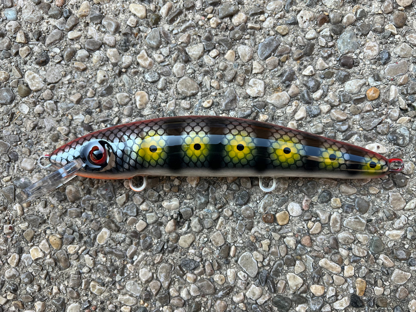 Silver Killer - Pearl Belly - 9CP