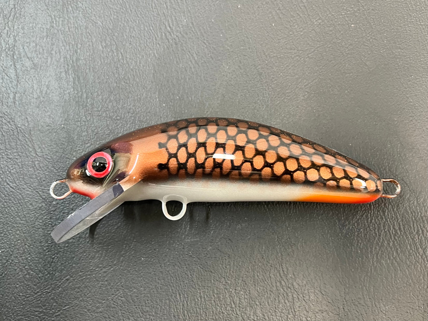 Copper Sucker - White Belly - 6SC