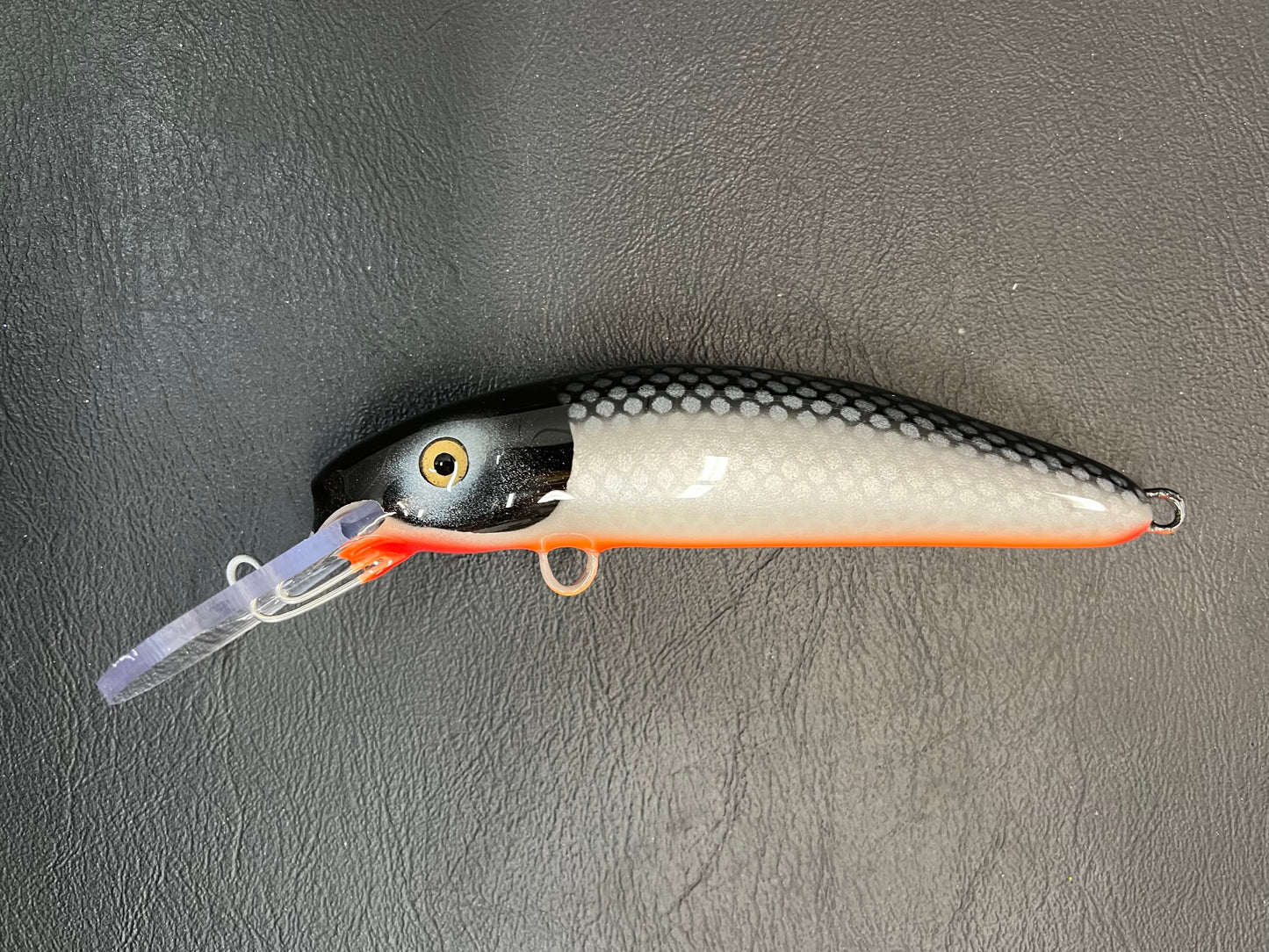 58” Cisco - Orange Belly - 7H