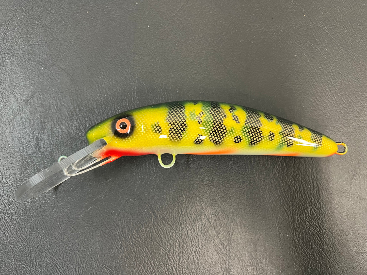 Natural Perch - White Belly - 7H