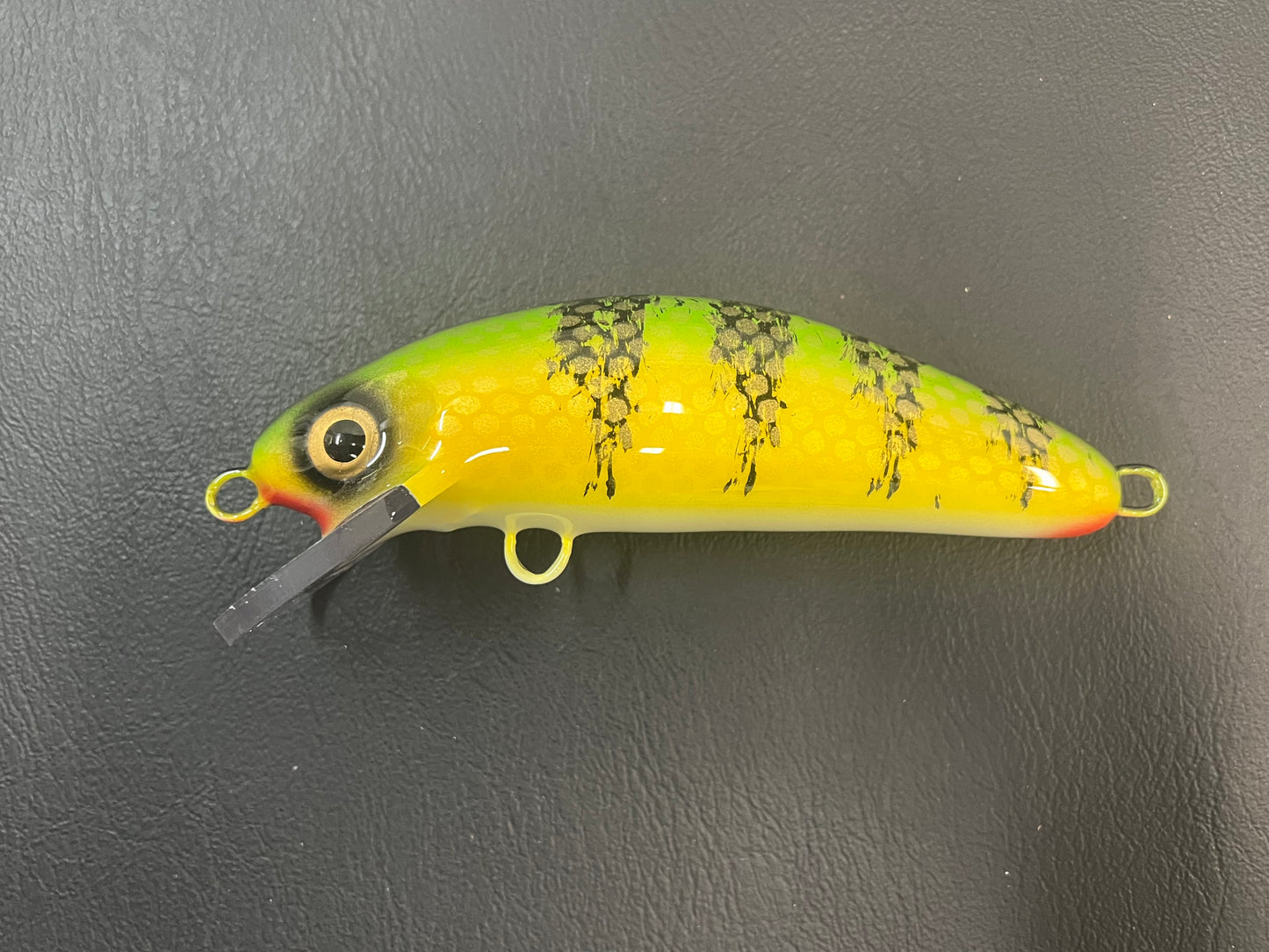 Chalky Perch - White Belly - 6SC