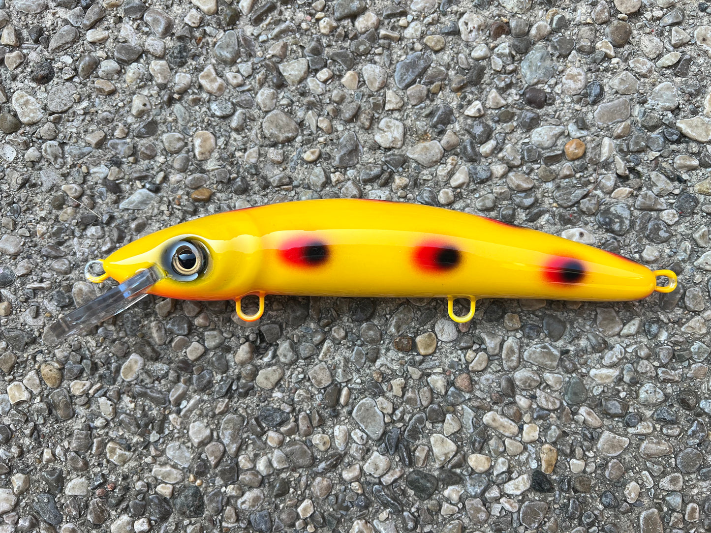 Dogs Balls - Yellow Belly - 9CP