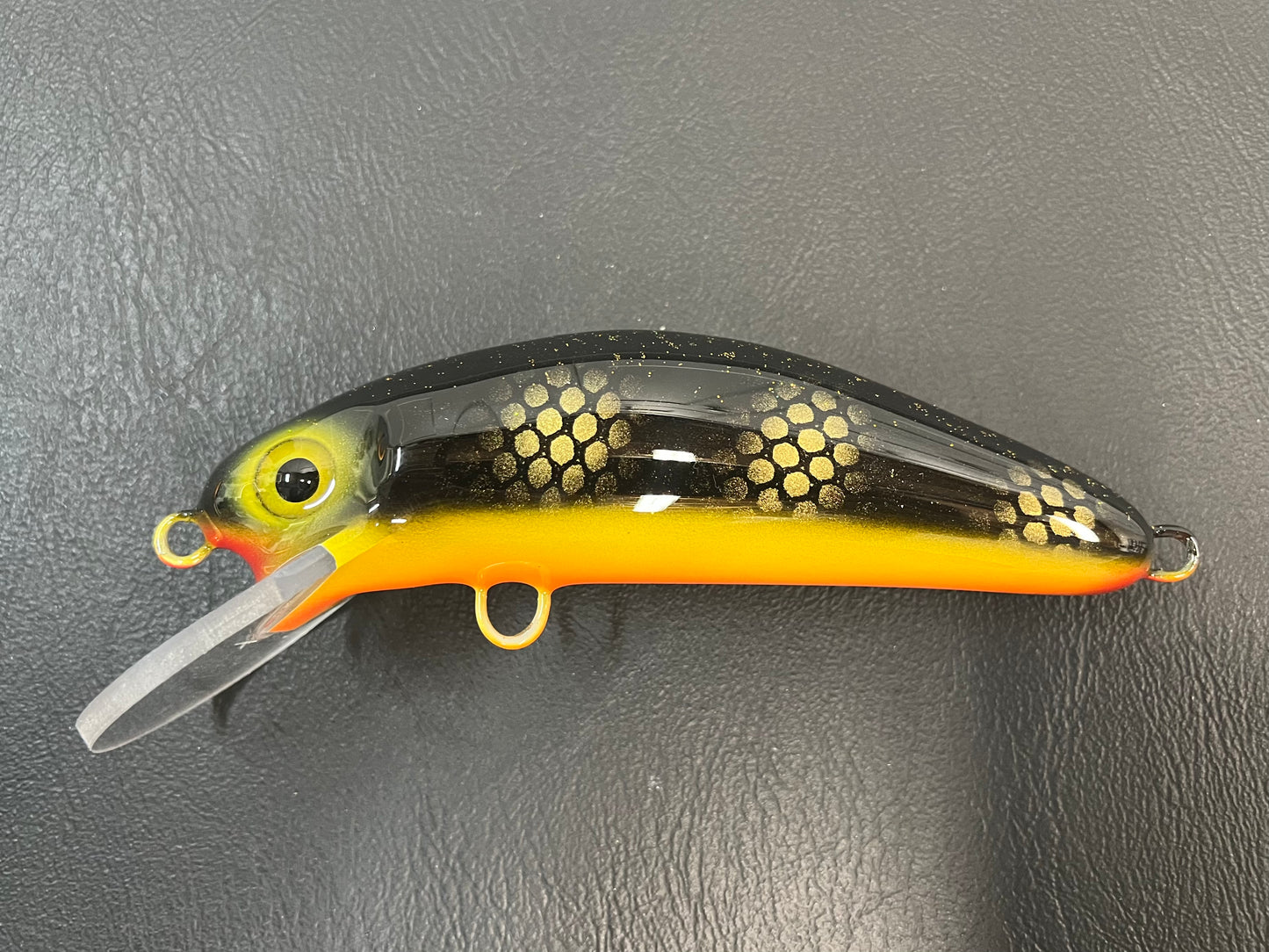 Black Perch - Orange Belly - 6DSC