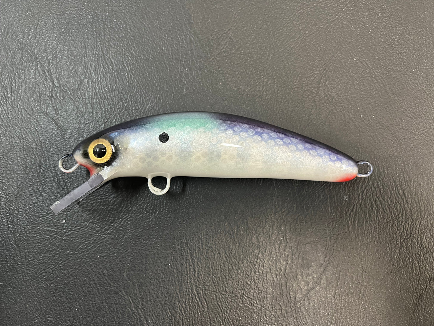 Shimmering Shad - Pearl Belly - 6CH