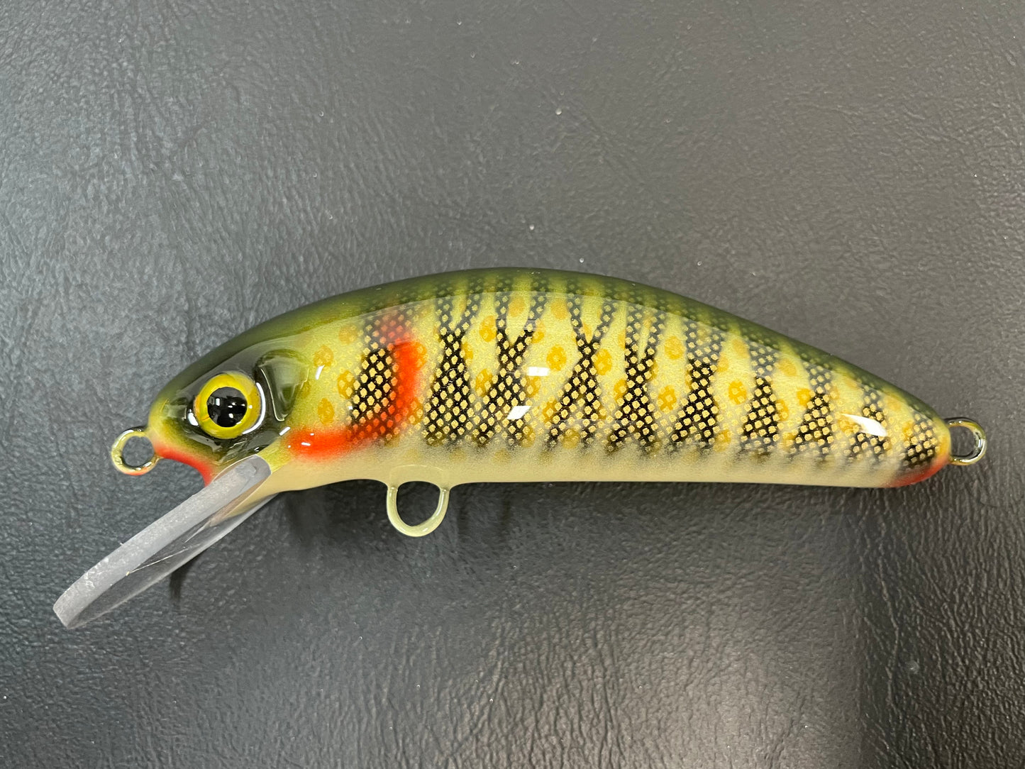 $9 Bass (Light) - Cream Belly - 6DSC