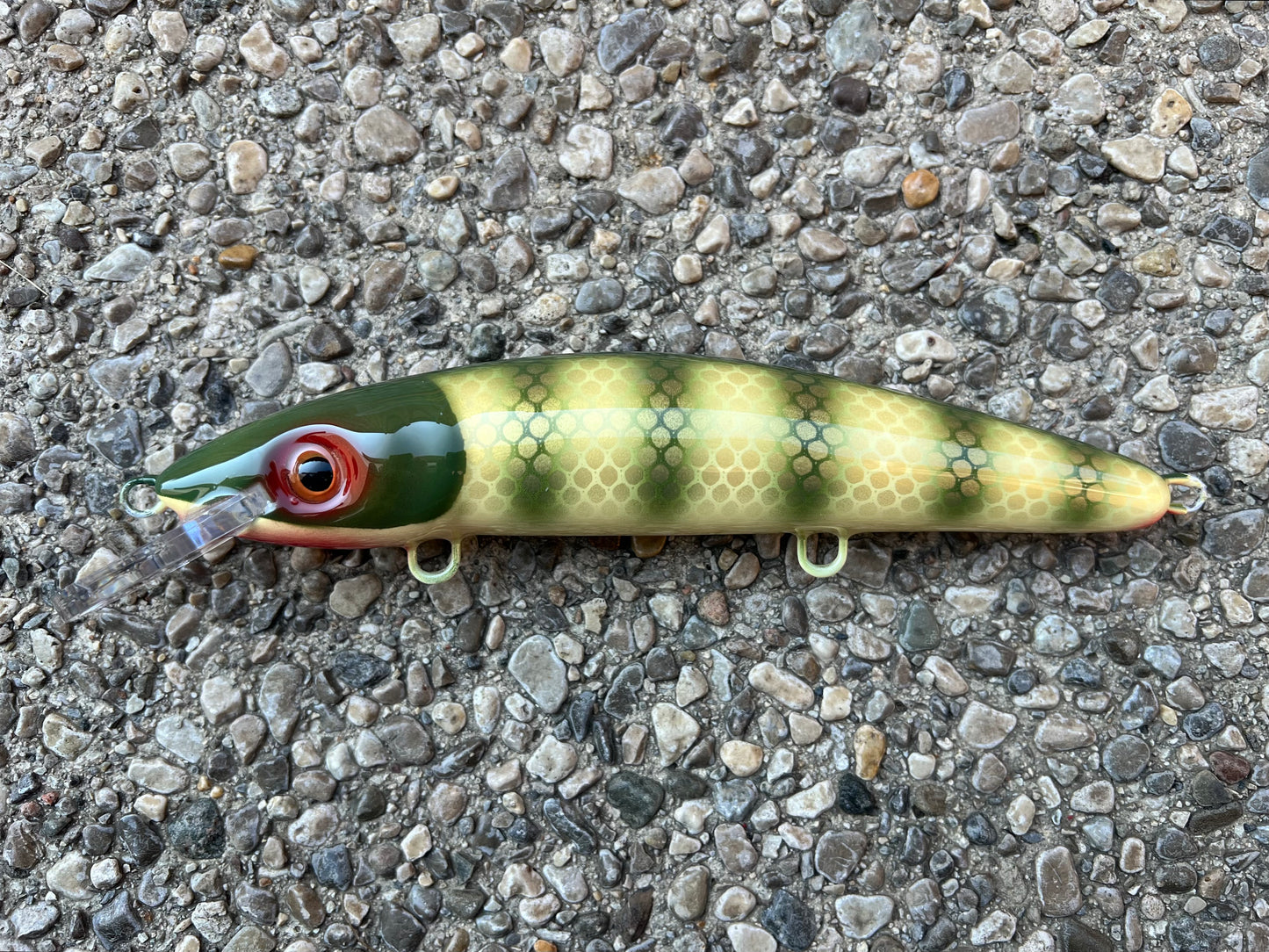 Olive Pike Scale - Cream Belly - 9CP