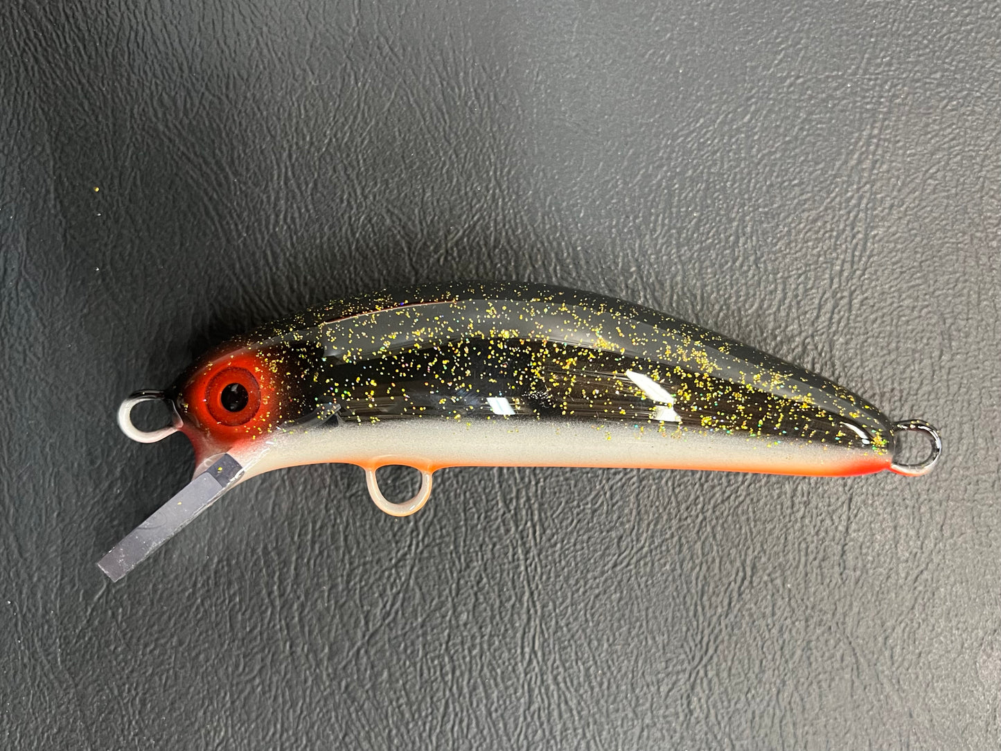 Night Shiner - Orange Belly - 5SC