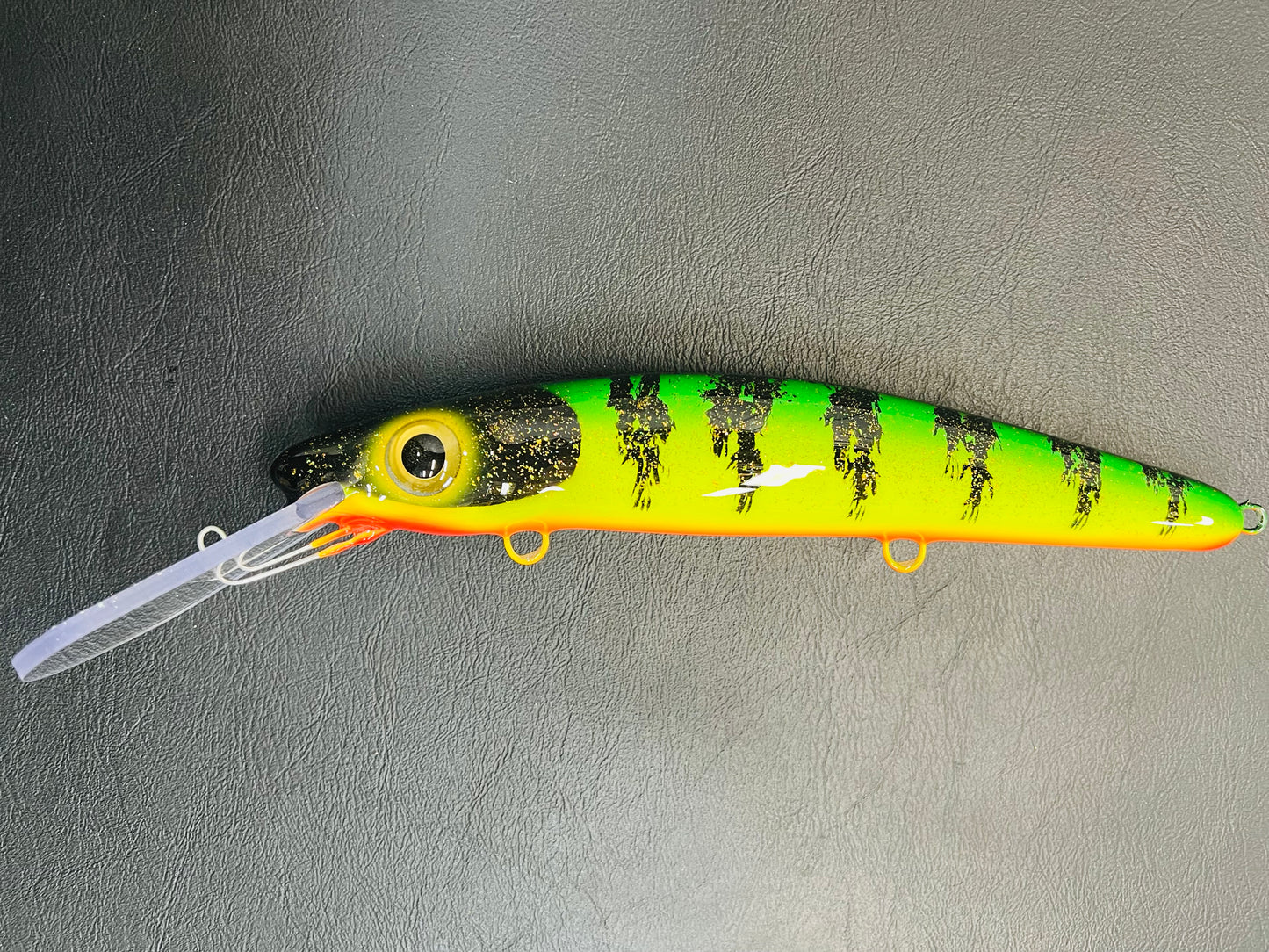 Glitter Perch - Orange Belly - 12H