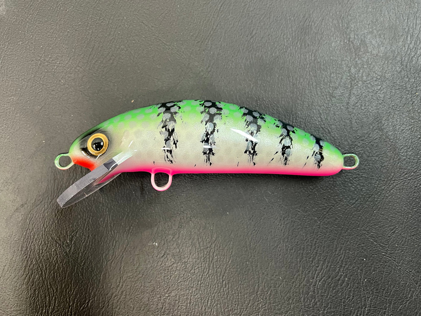 Seafoam Perch - Pink Belly - 6SC