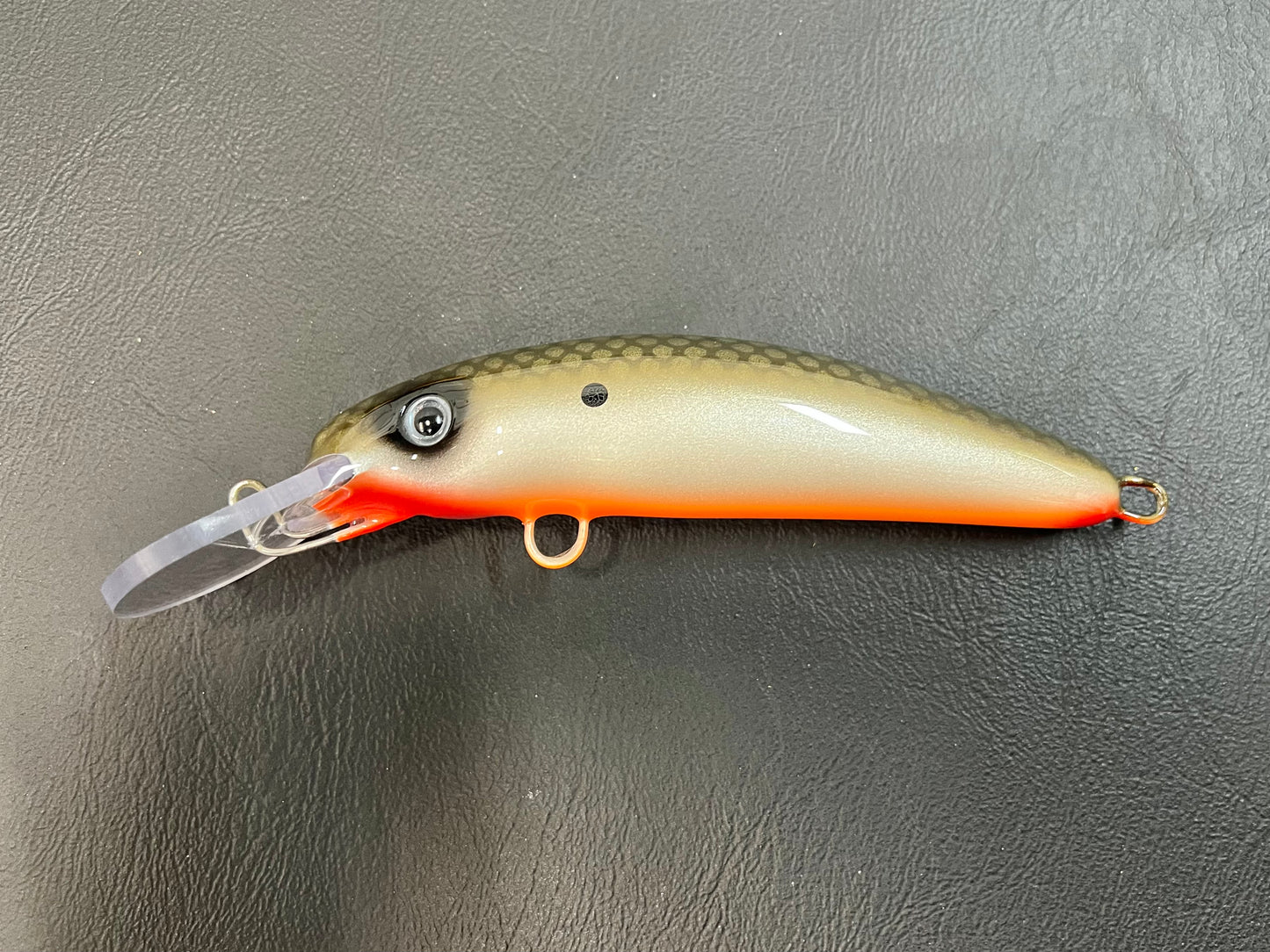 Tennessee Shad (Classic) - Orange Belly - 6H