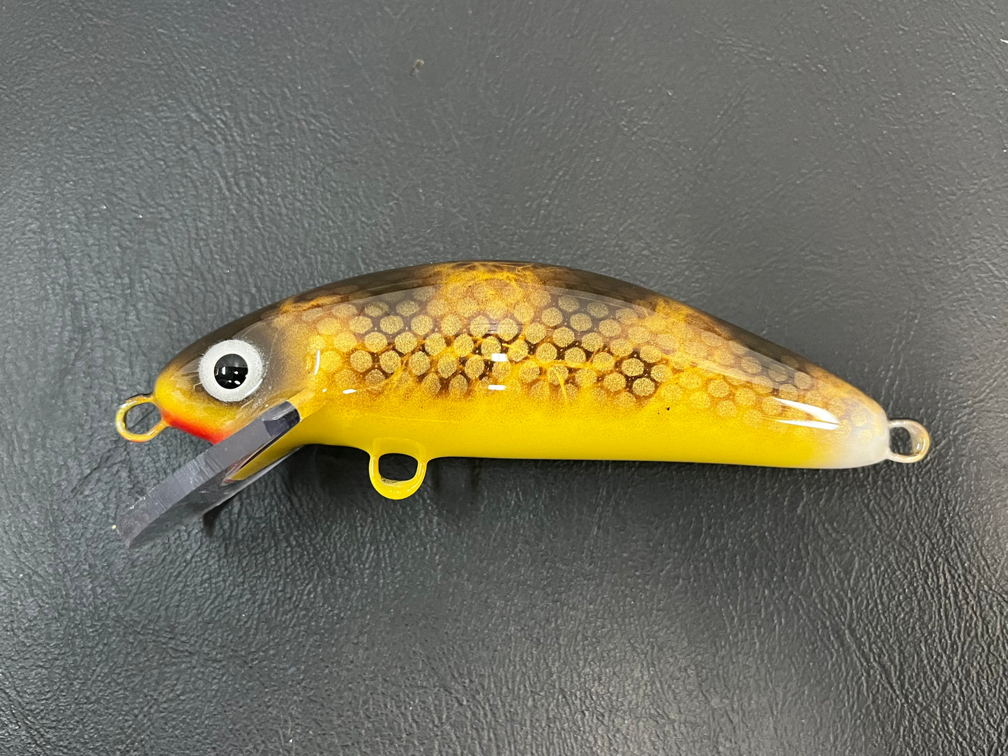 Walleye - Yellow Belly - 6SC