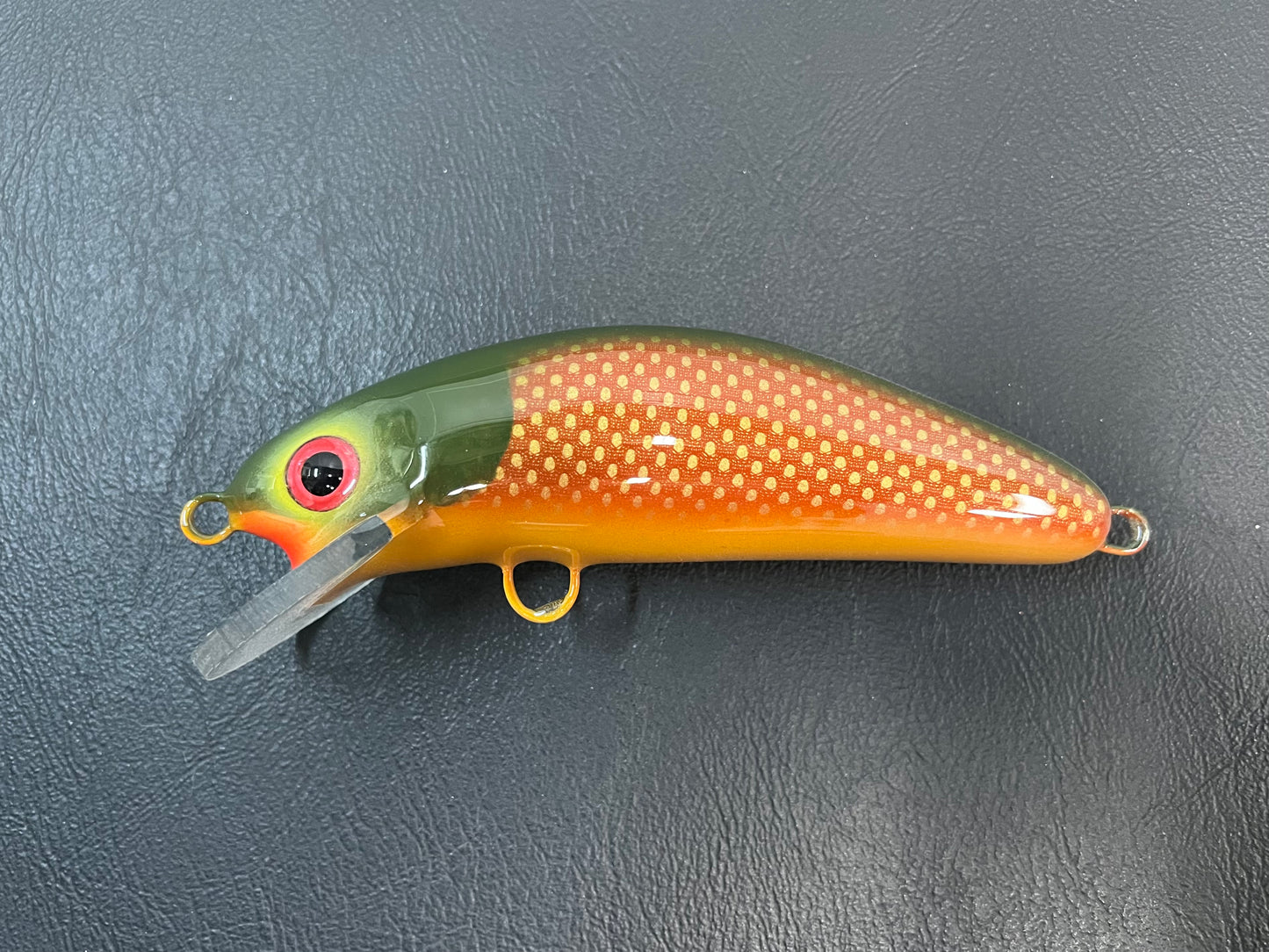 Lawton - Gold Belly - 6SC