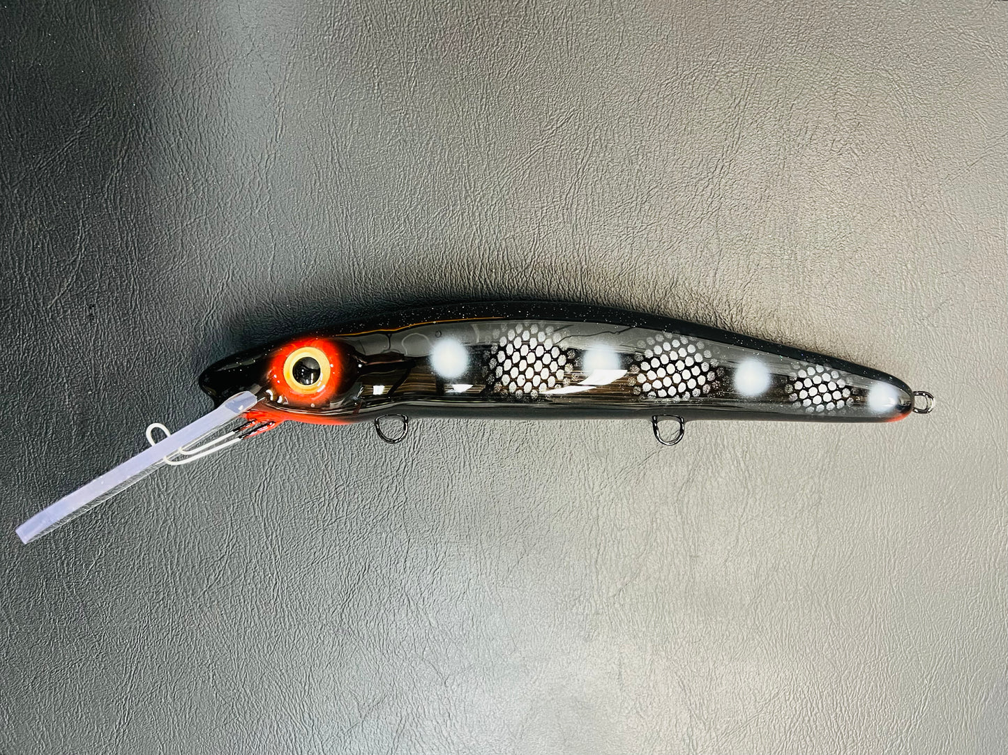 Imposter Perch - Black Belly - 12H