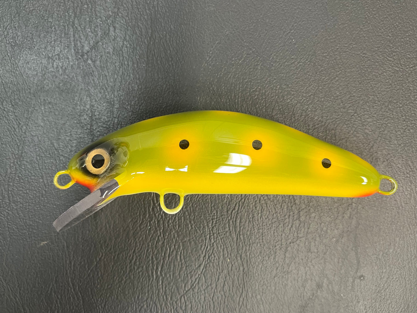 Olive Frog - White Belly - 6SC