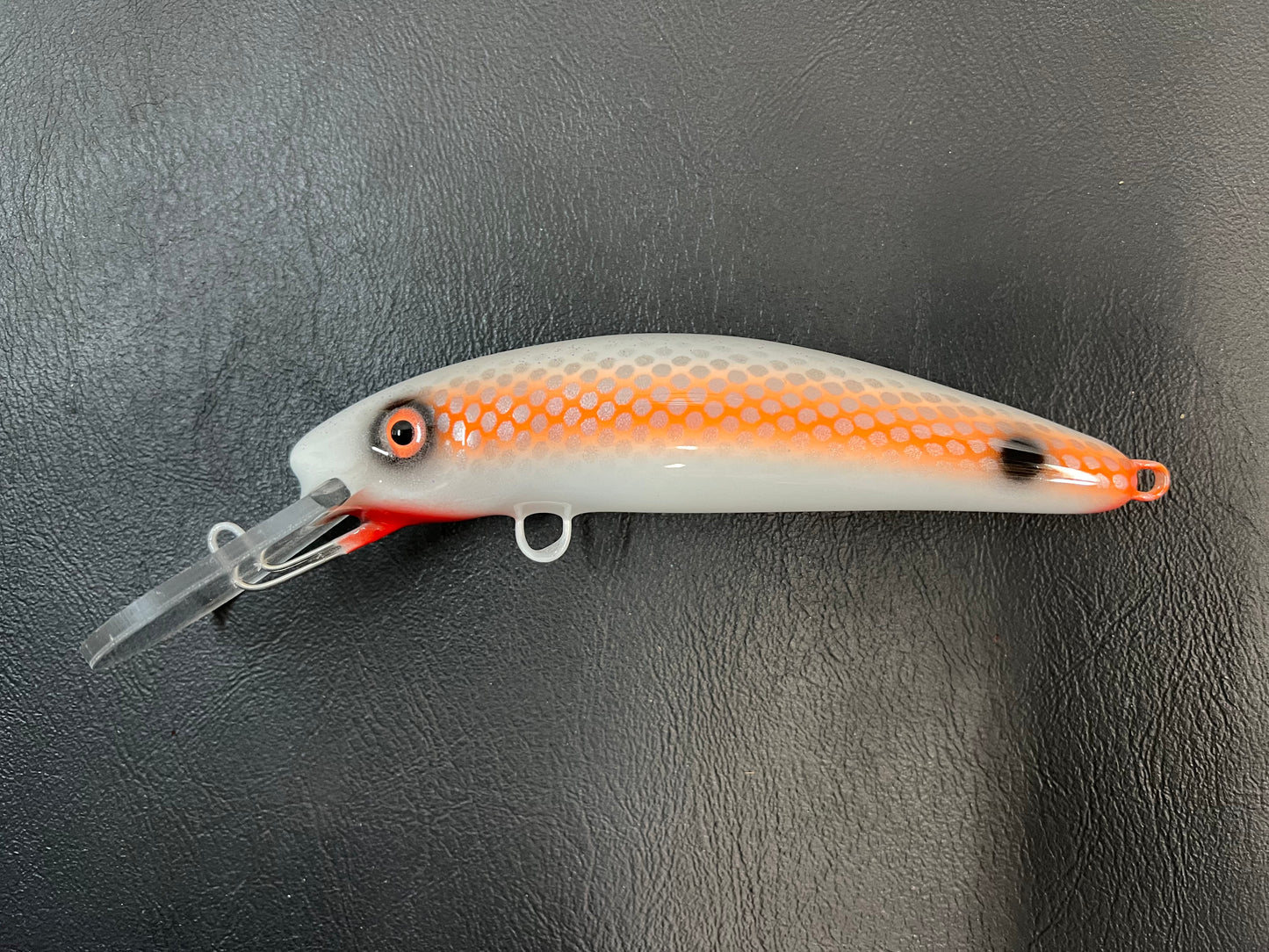 White Lightning - White Belly - 7H