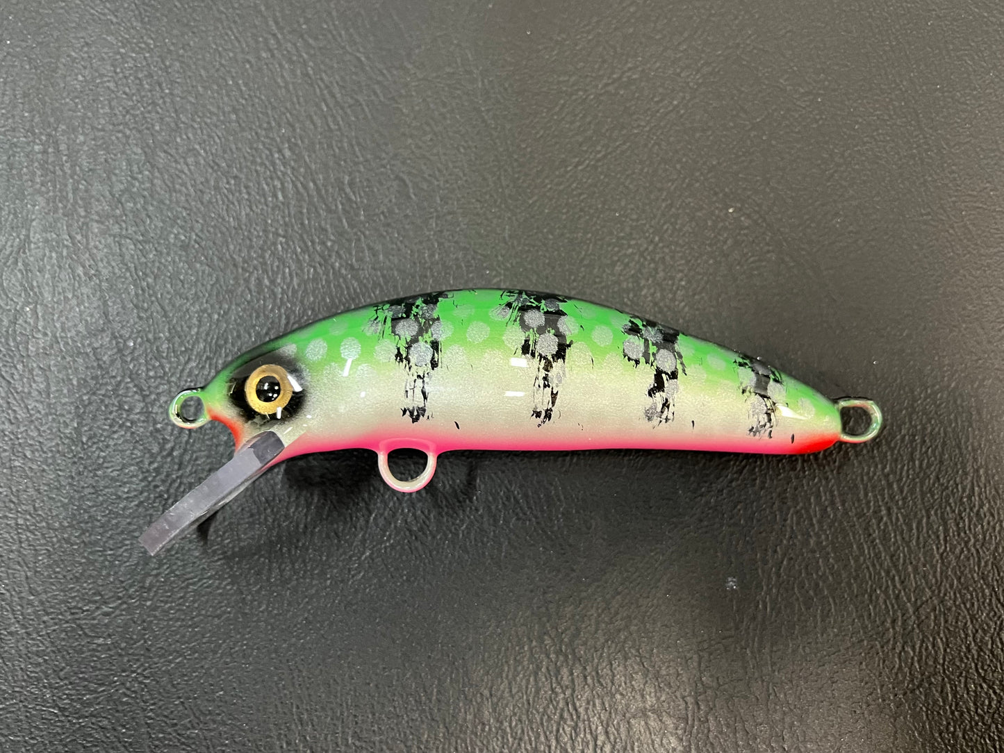 Sea Foam Perch - Pink Belly - 5SC
