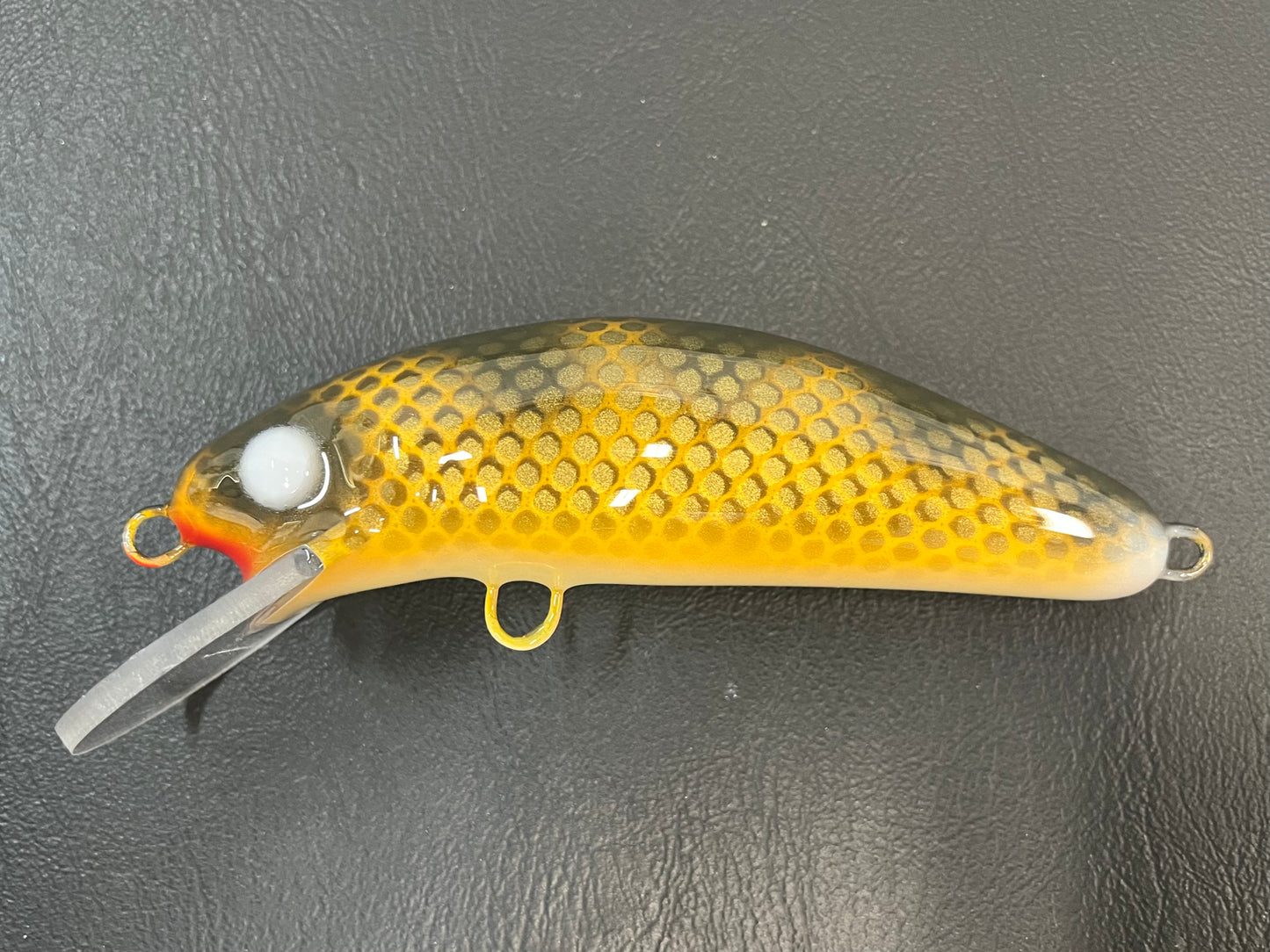 Double Nickel Walleye - Cream Belly - 6DSC