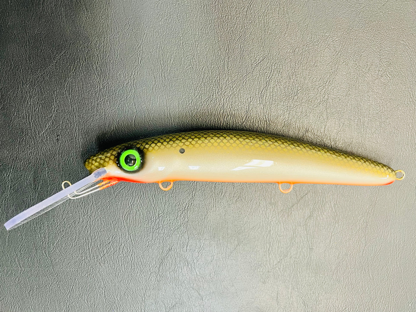 Tennessee Shad - Orange Belly - 12H