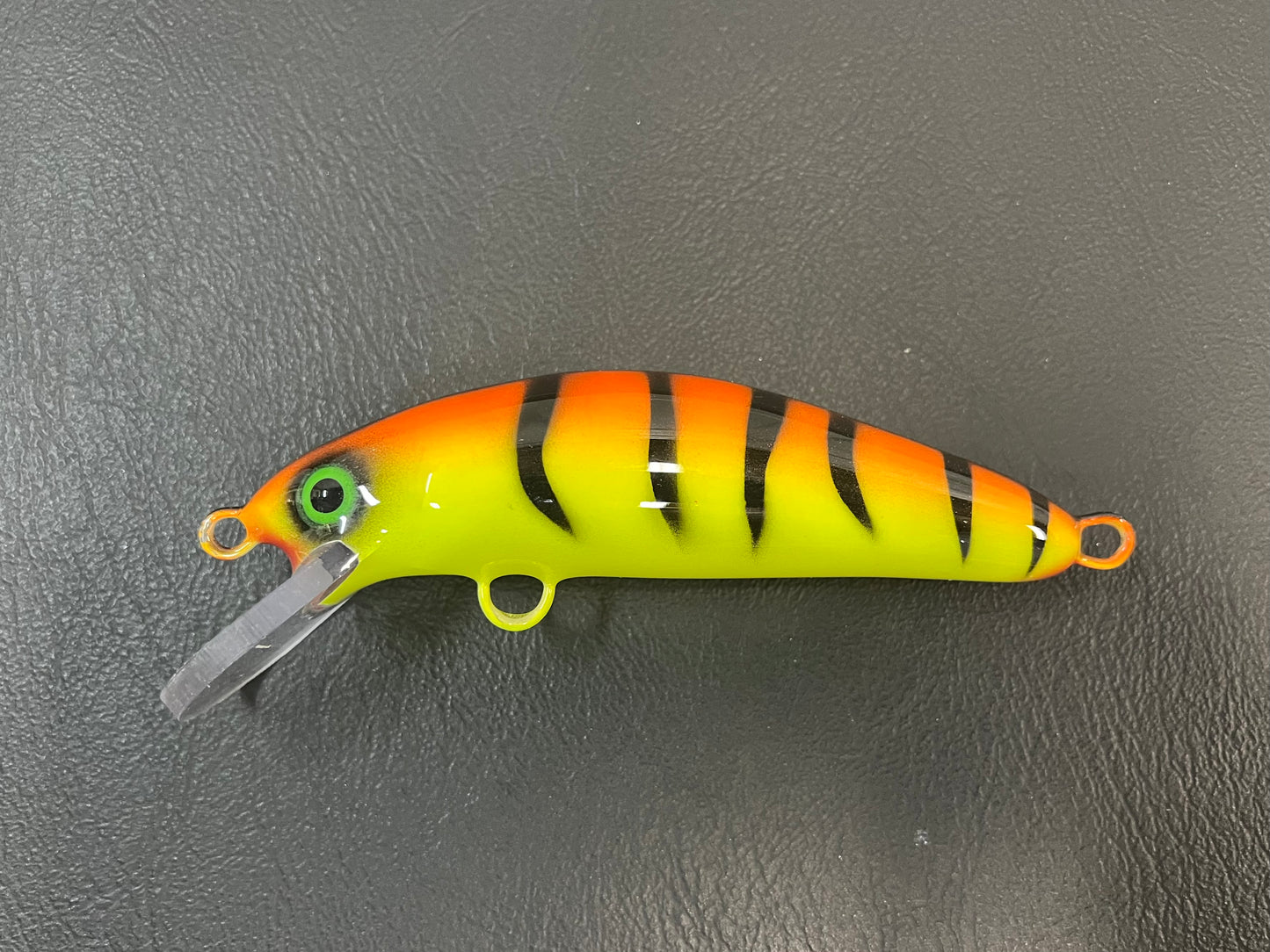 Orange Tiger - Chartreuse Belly - 5SC