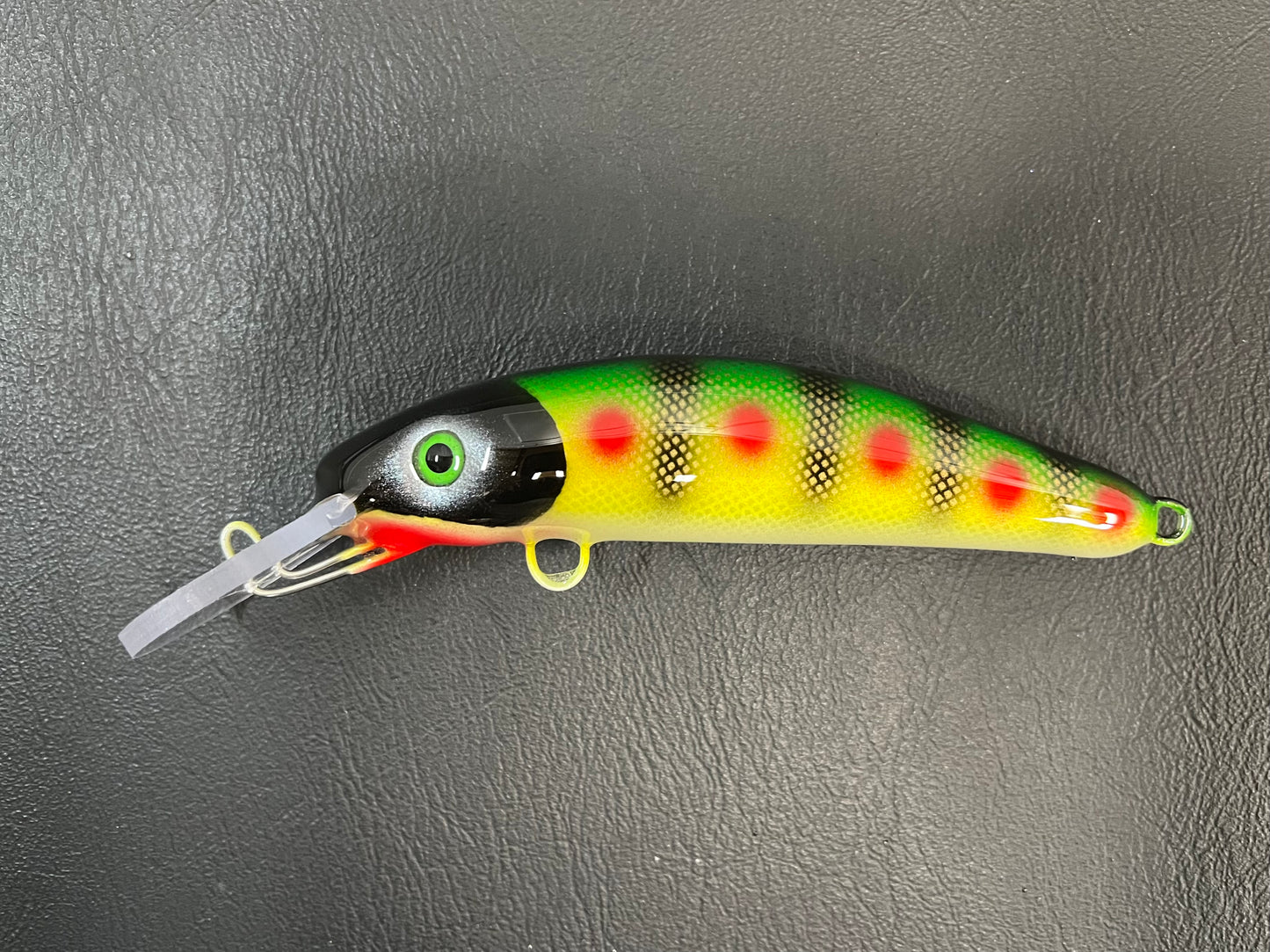 Special Perch - Pearl Belly - 6H