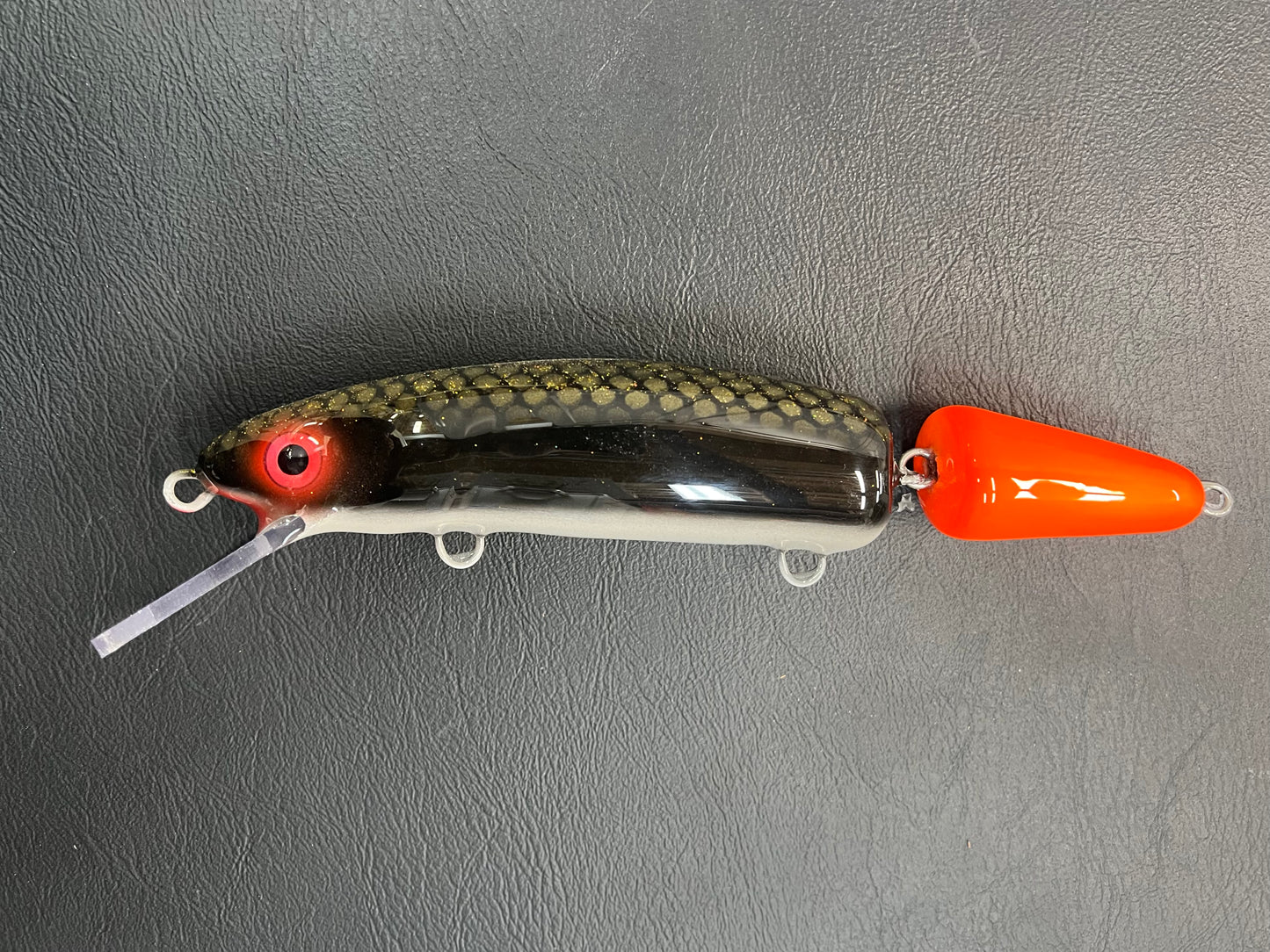 Ball Licker - Pearl Belly - 9JC