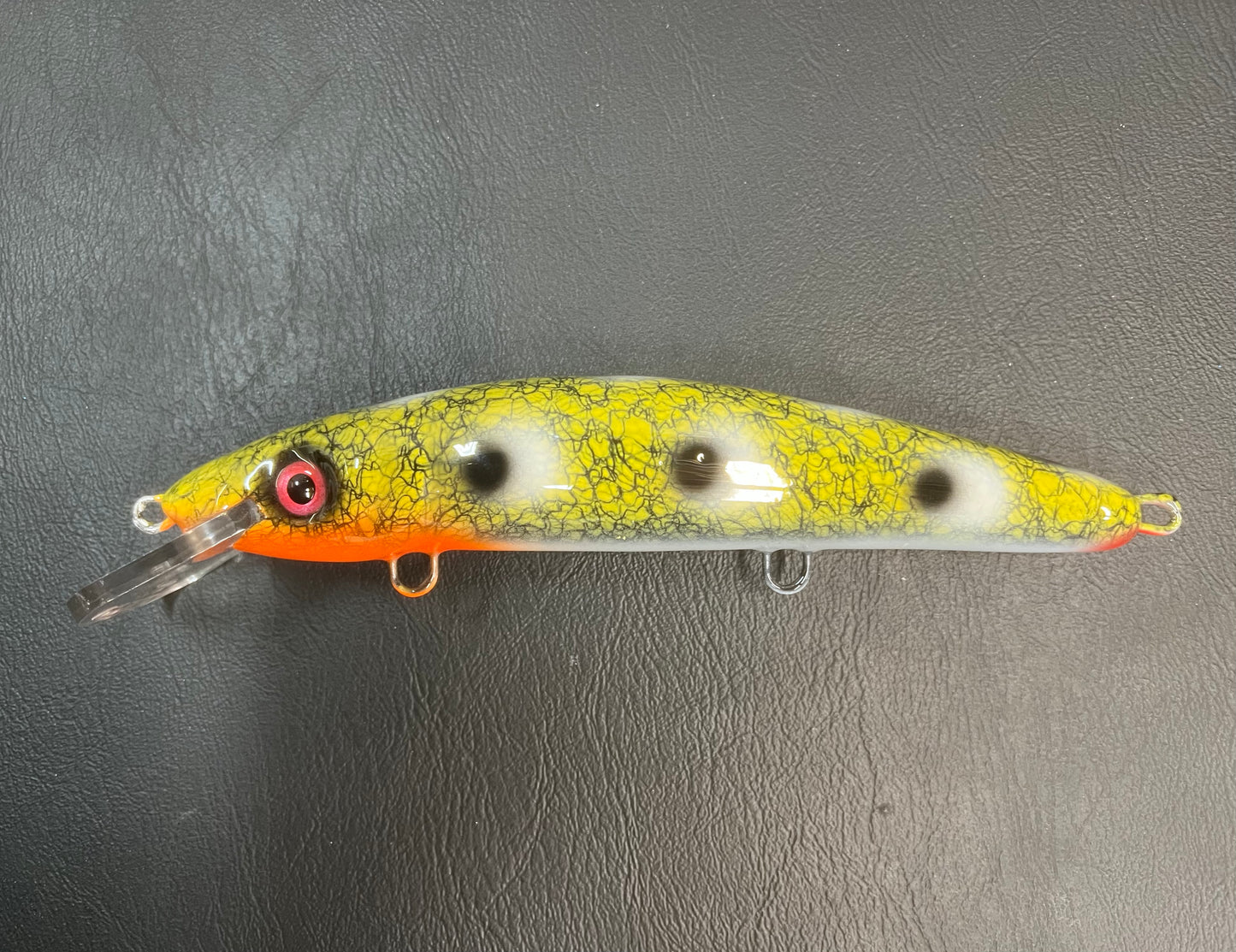 Reverse Camo Frog - White Belly - 9CP