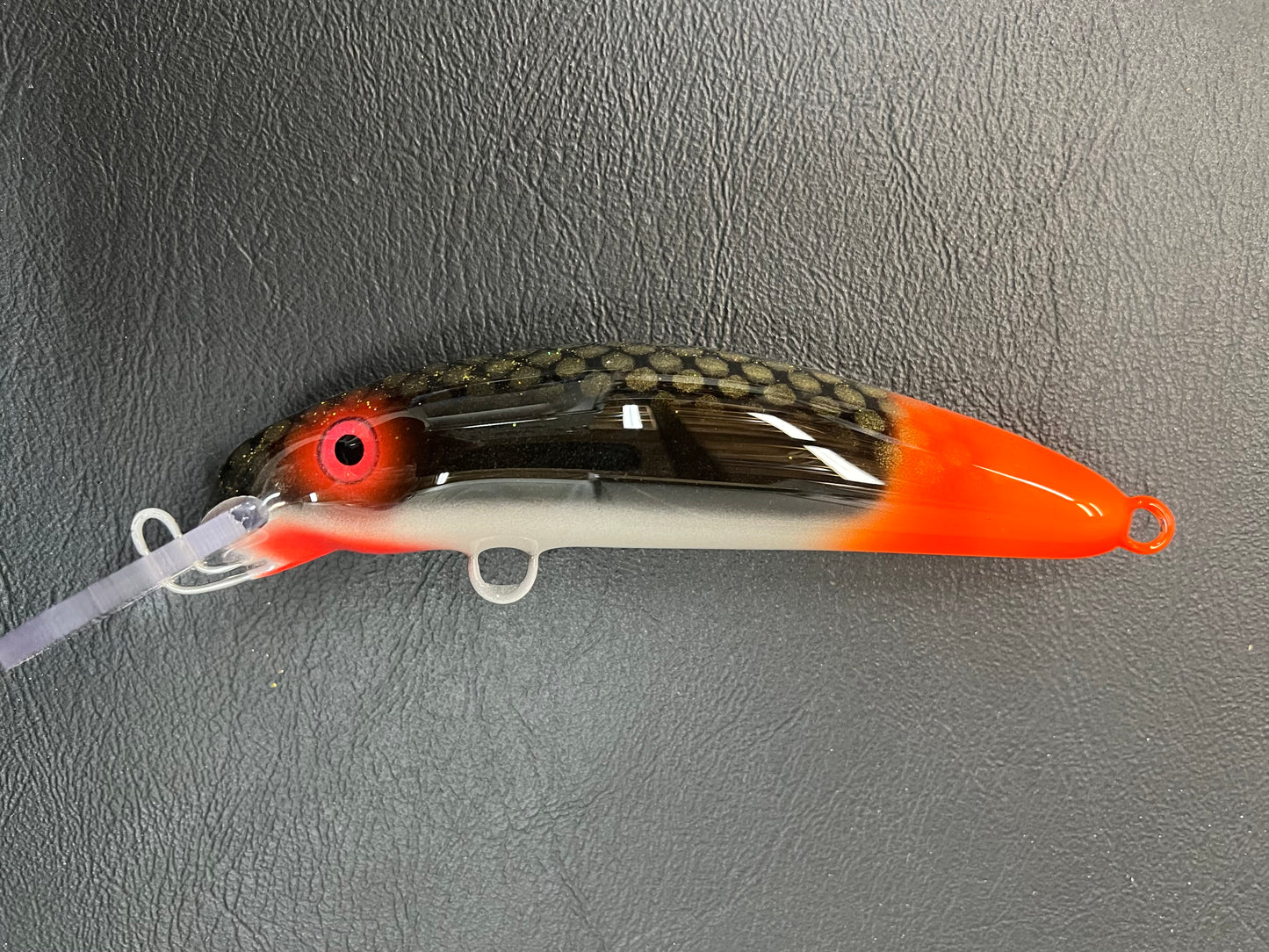 Ball Licker - Pearl Belly - 6H