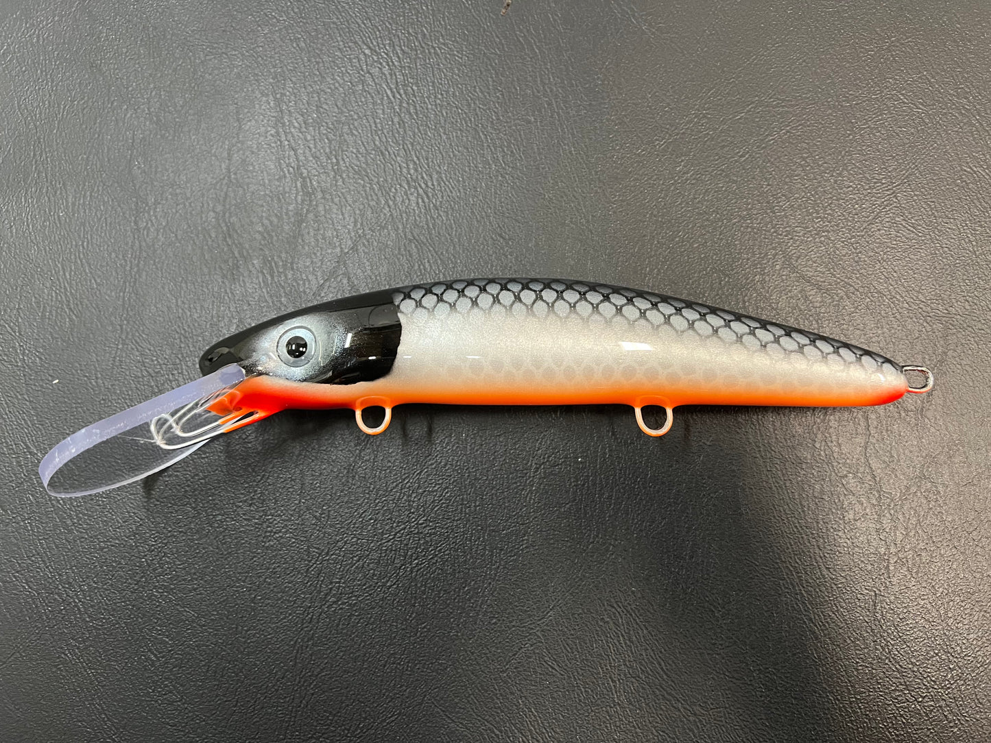 58” Cisco - Orange Belly - 9H
