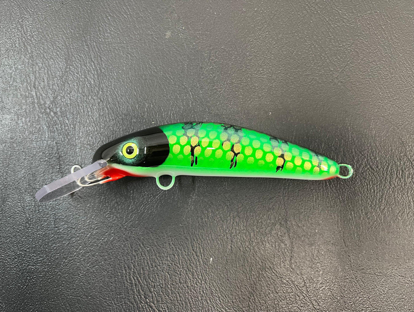 Goblin Perch - White Belly - 6H