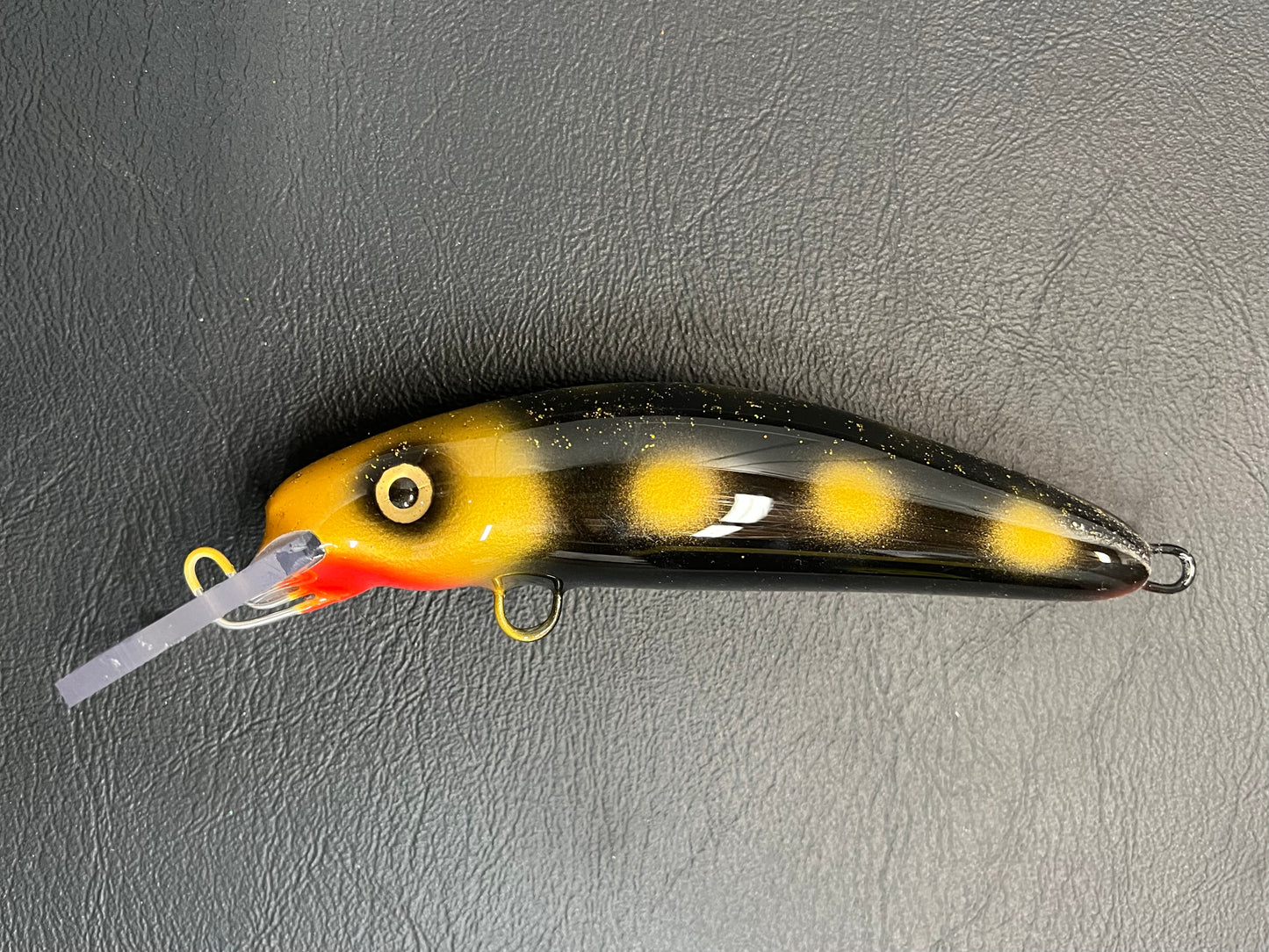 Gold Afro - Black Belly - 6H