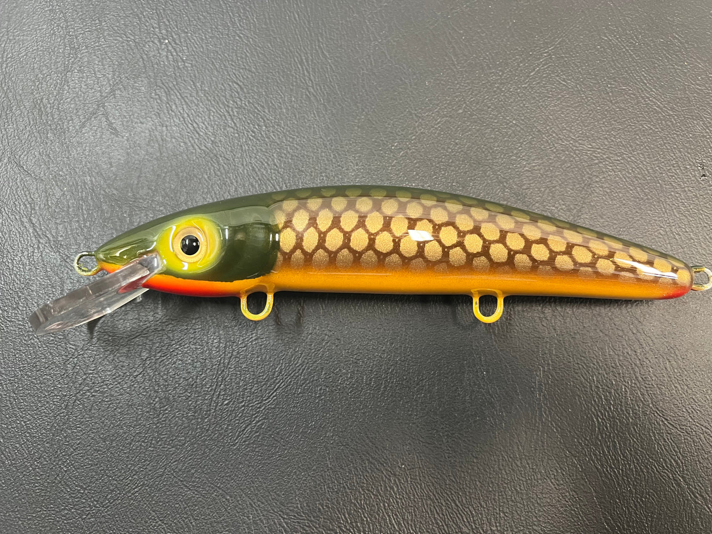 Lawton - Yellow Belly - 9CP