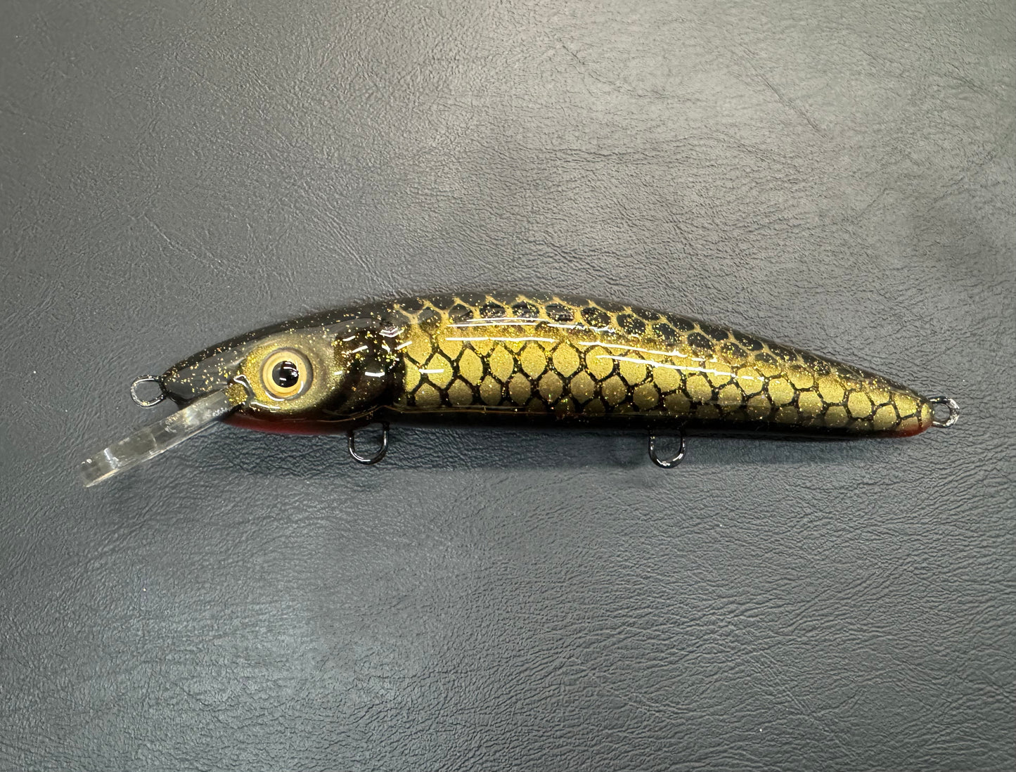 Black & Gold - Black Belly - 9CP