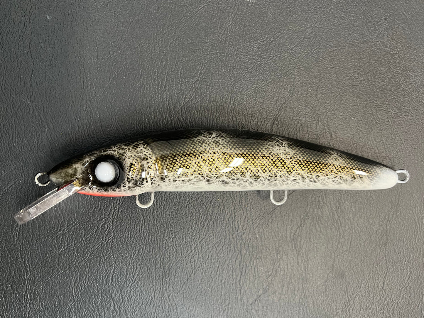 Black Walleye - White Belly - 9CP